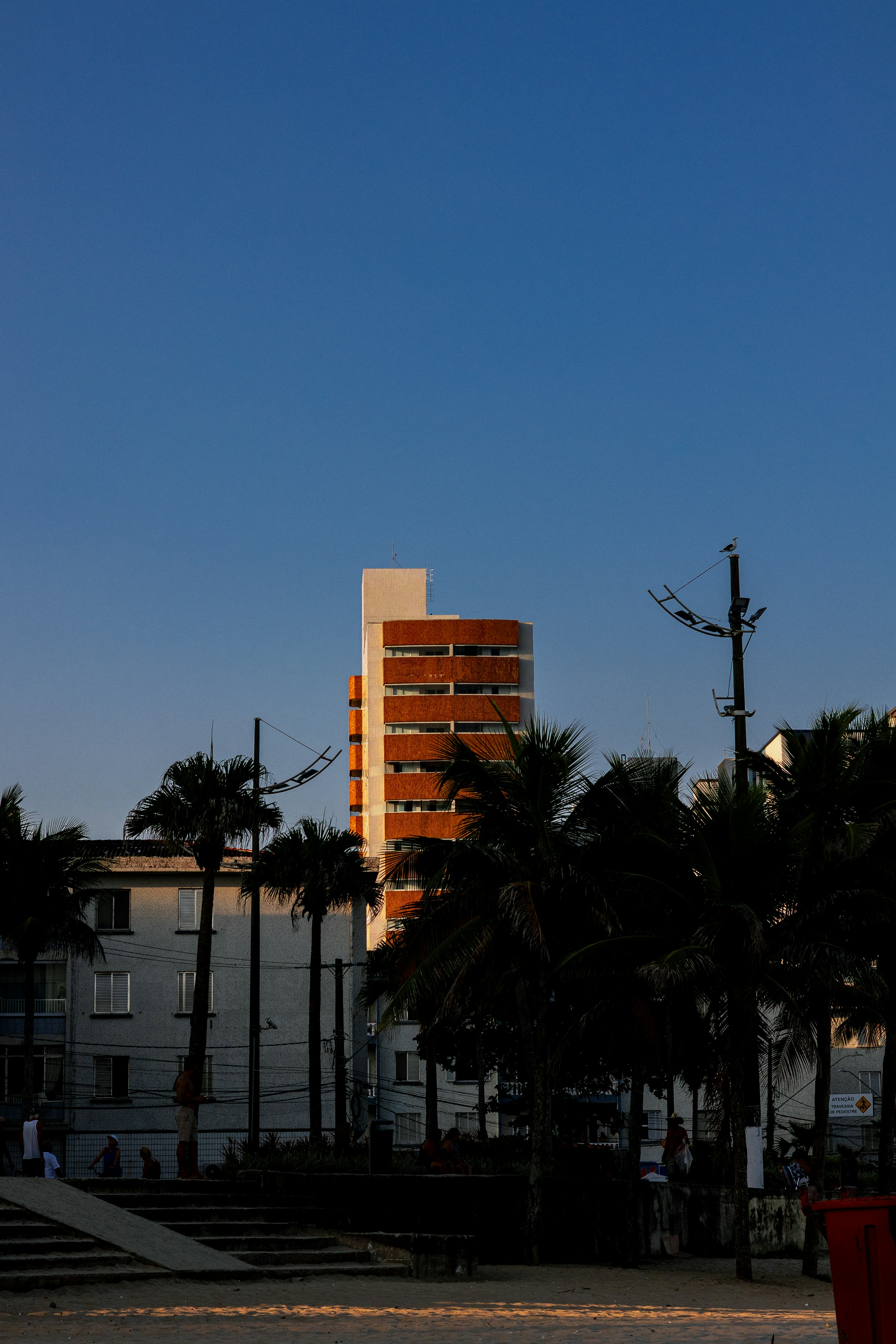 Modern building behind palm trees at sunset