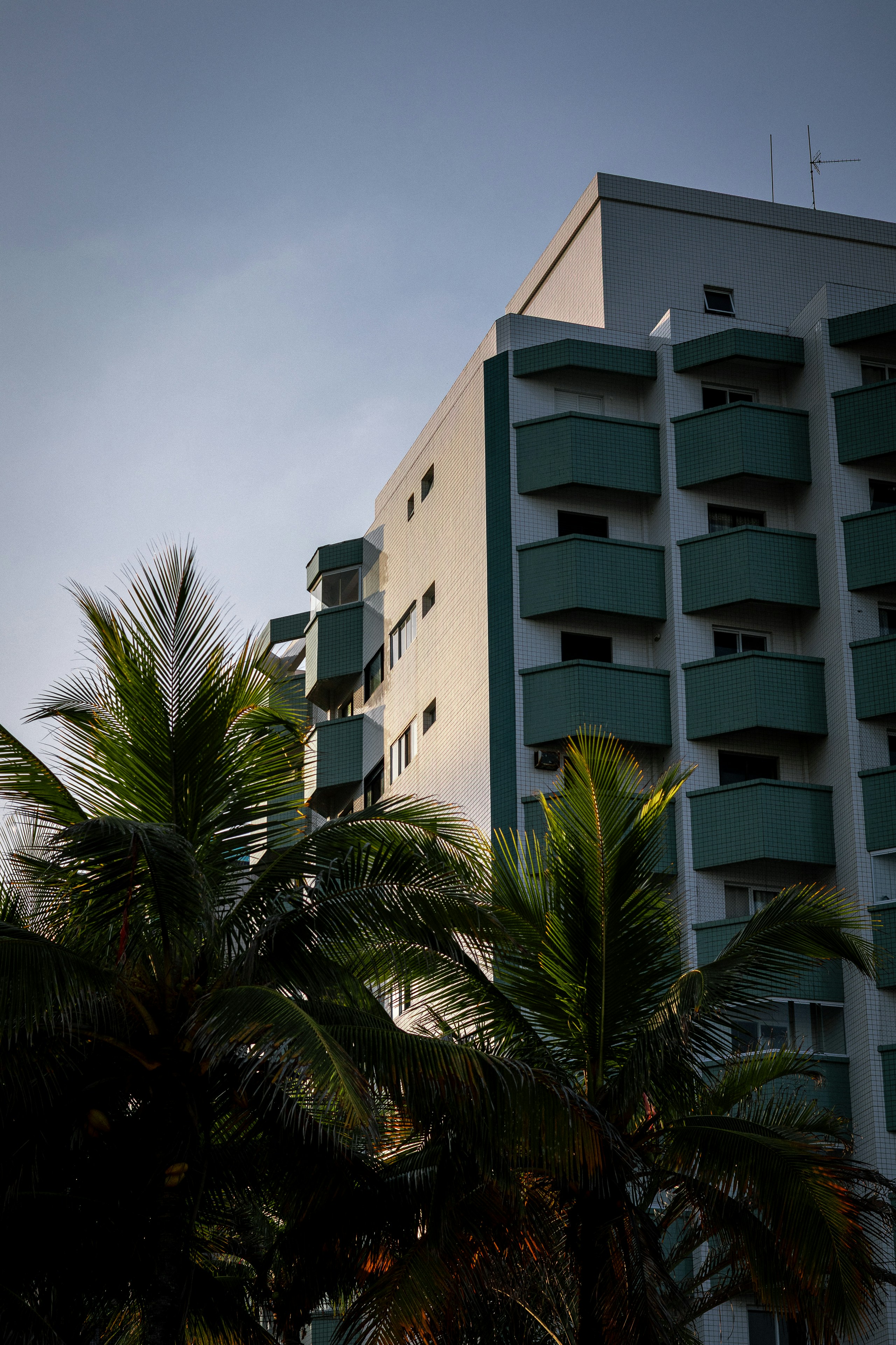 Modern building with balconies and palm trees