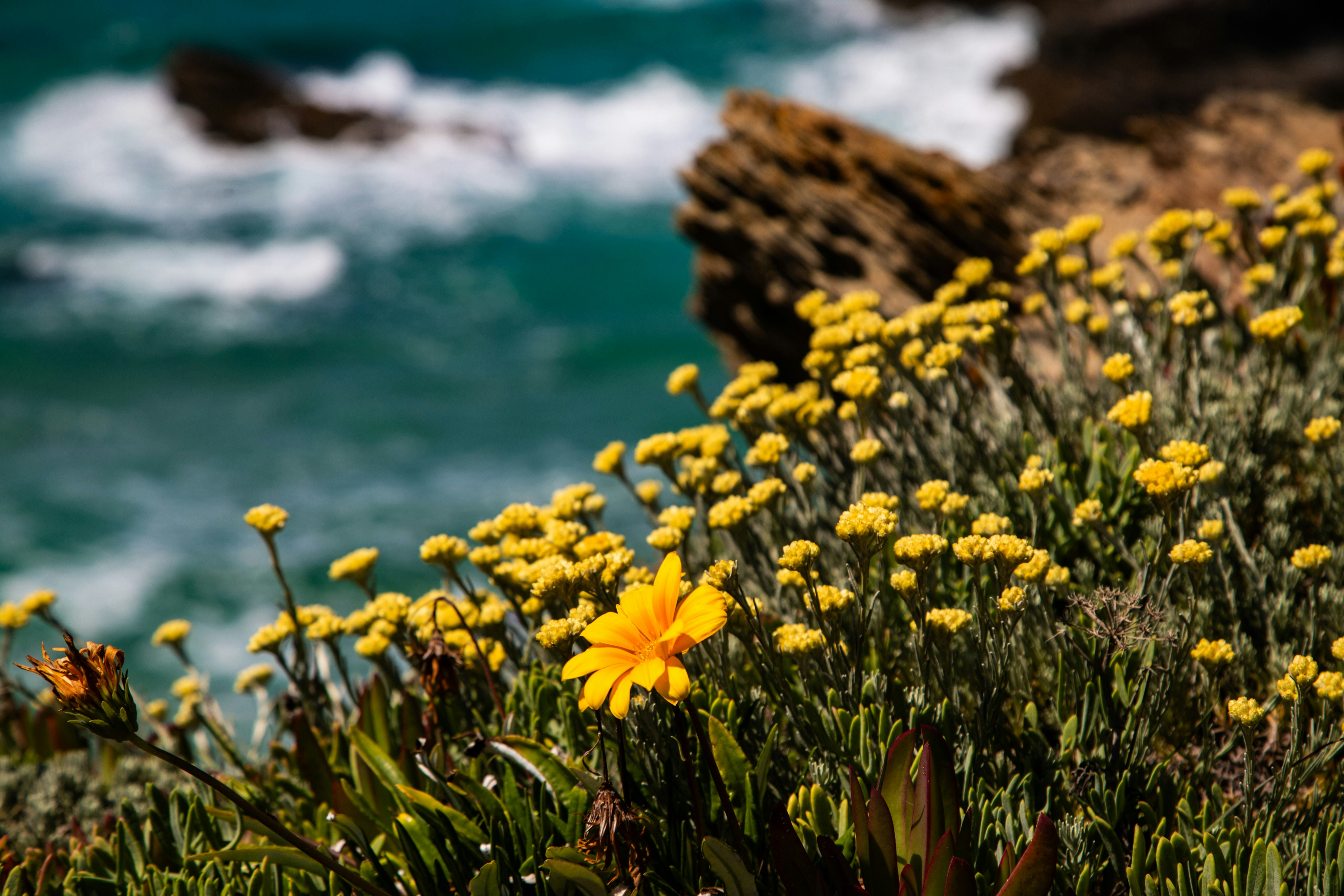 Photo by hdbernd