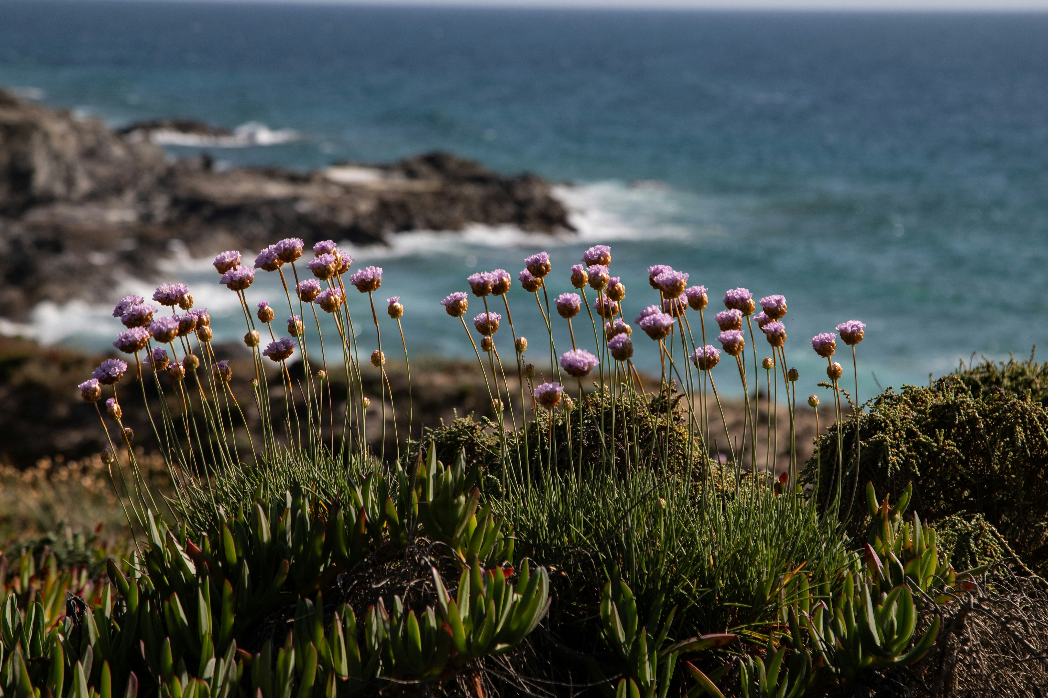 Photo by hdbernd