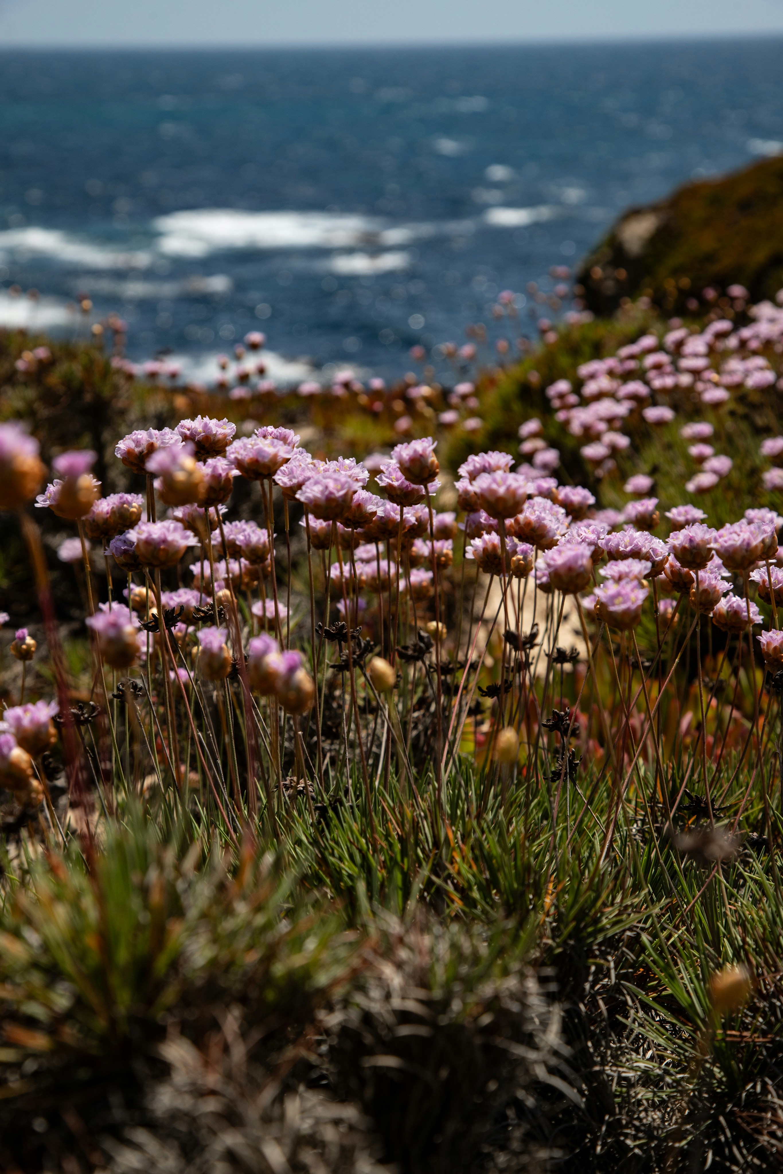 Photo by hdbernd