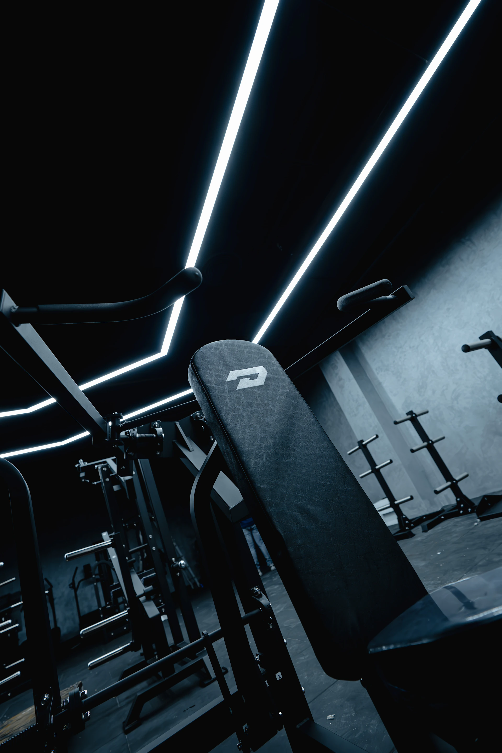 Modern gym interior with sleek equipment and lighting