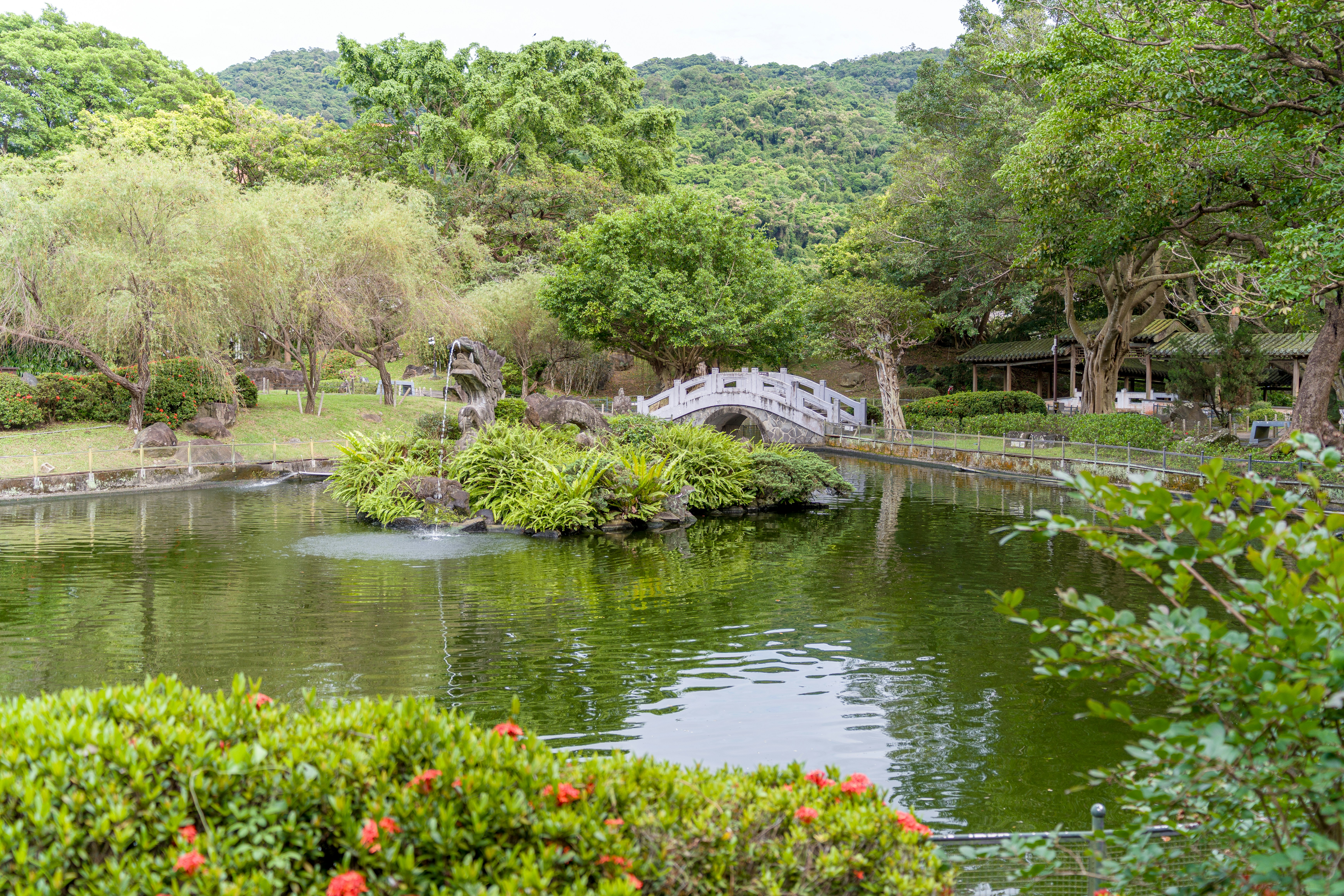 Ruhiger Park mit Teich und Bogenbrücke.