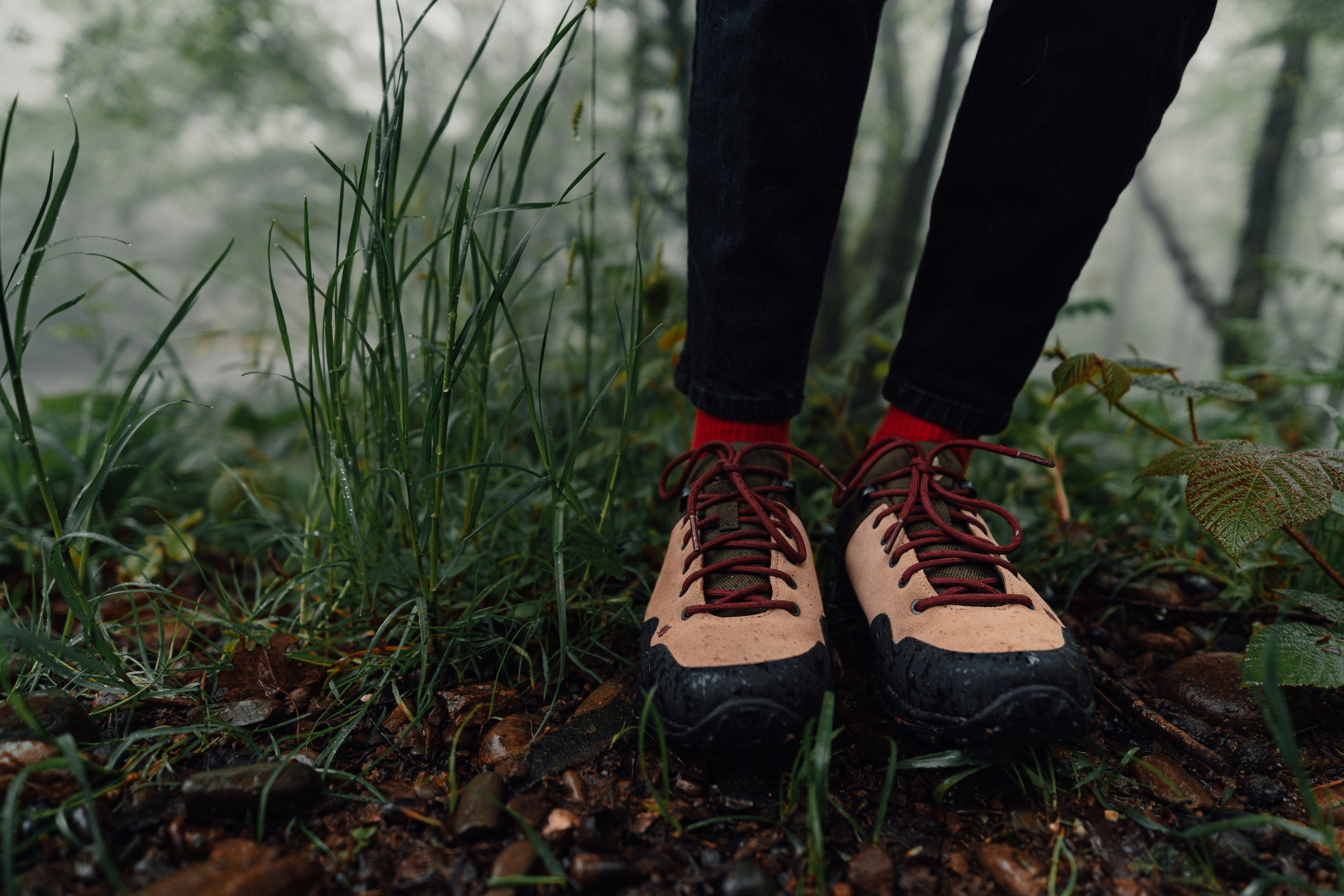 Organized Assistance At Alcohol Addiction Healing Facilities Supplies Important Advantages, But What Transformative Adjustments Can You Anticipate On Your Trip To Lasting Healing?
