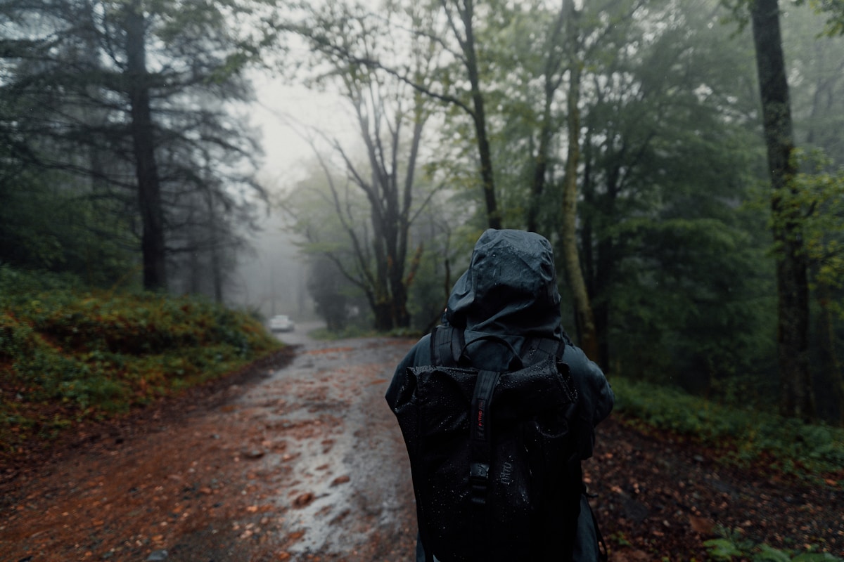 Person in hooded jacket walks on wet forest path