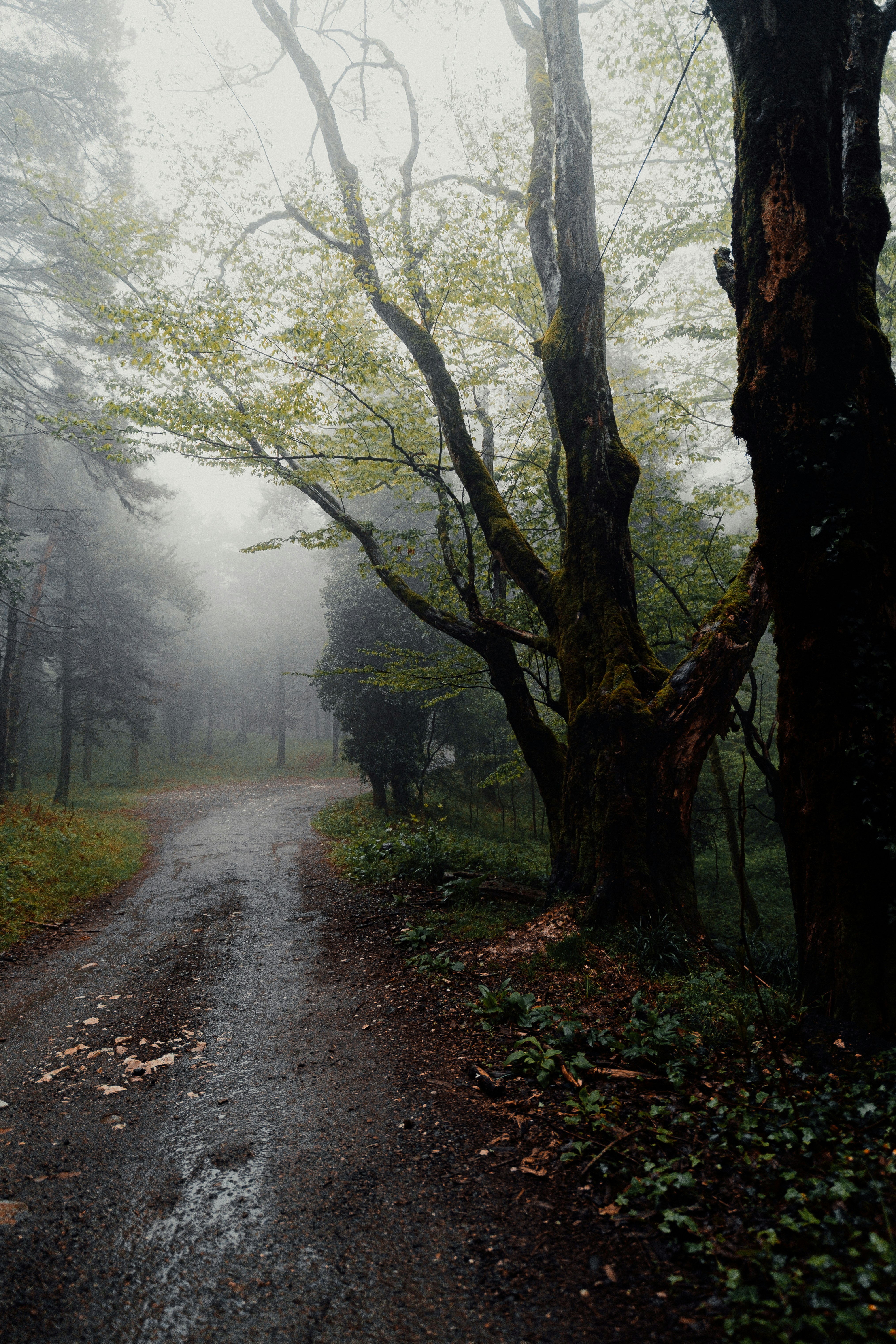 Photo by valentinakond