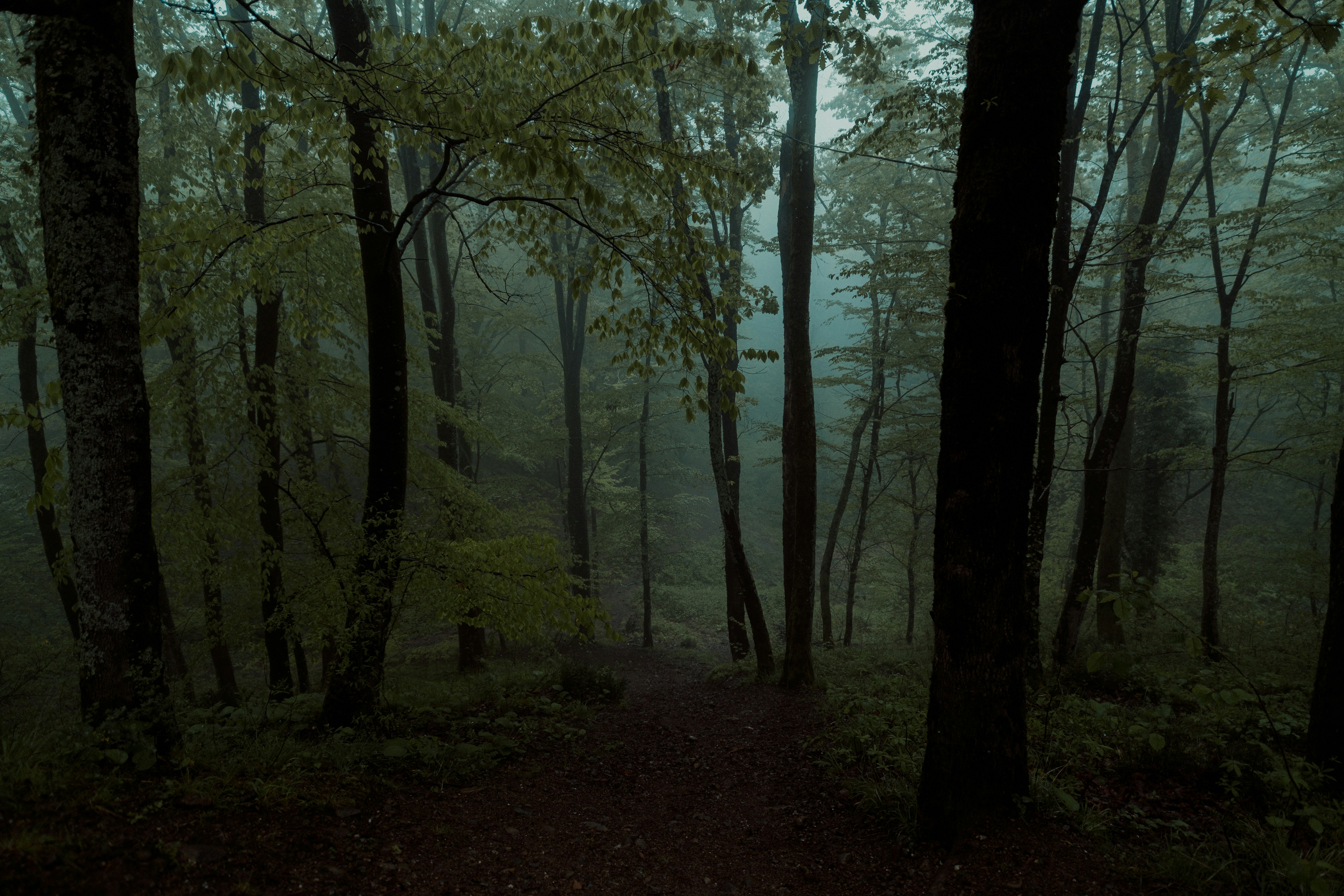 Photo by valentinakond
