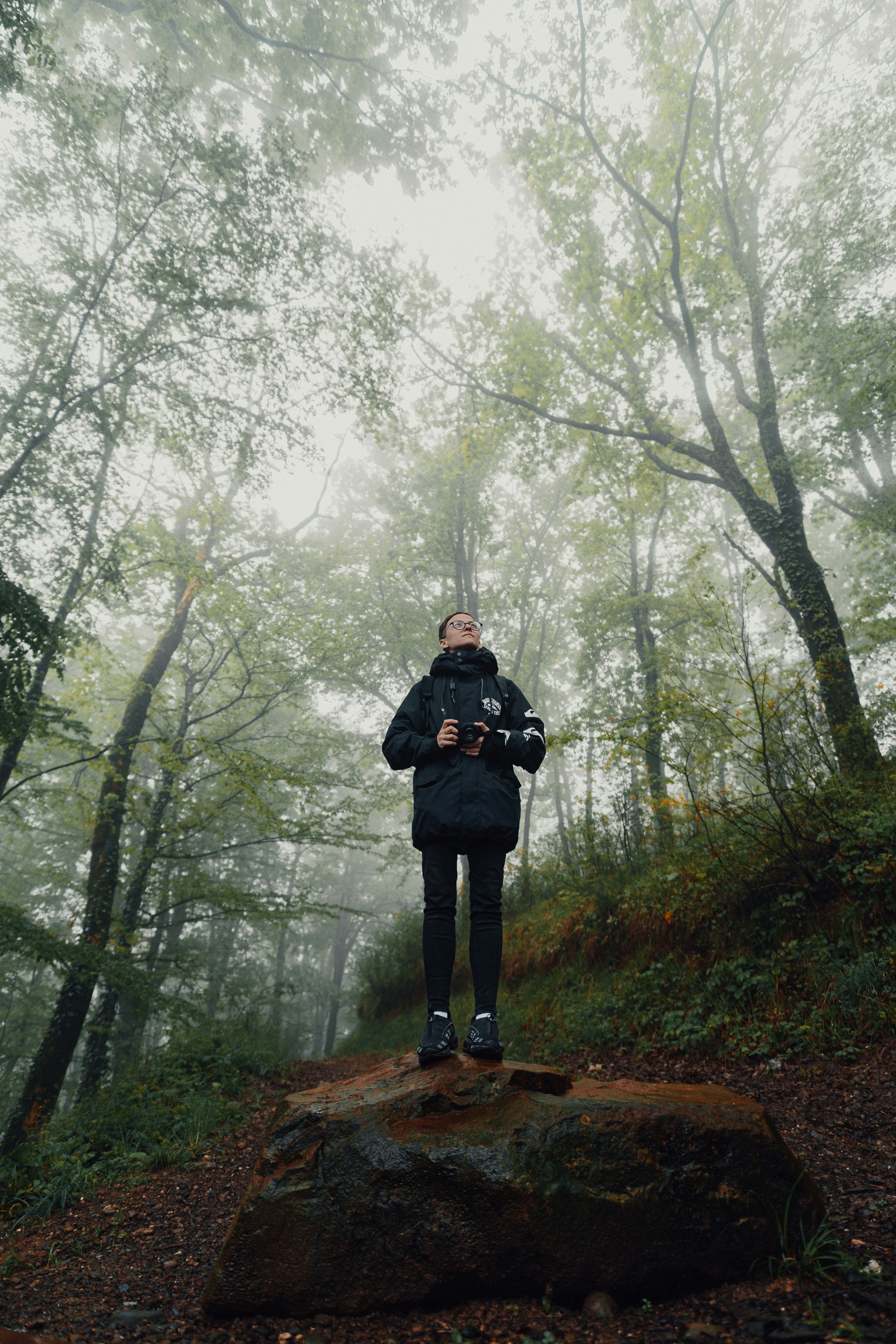 Person with binoculars in a foggy forest looking up.