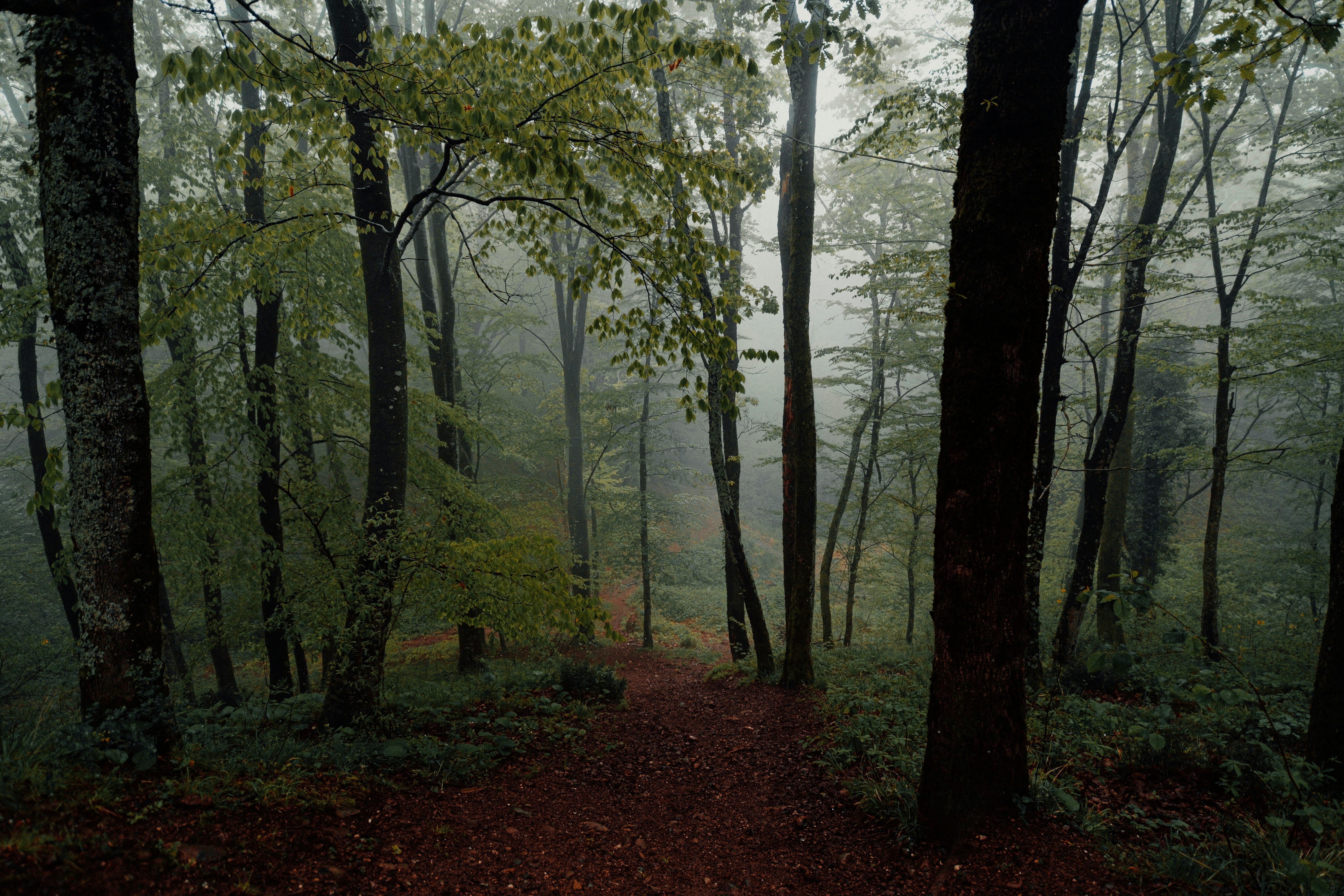 Photo by valentinakond