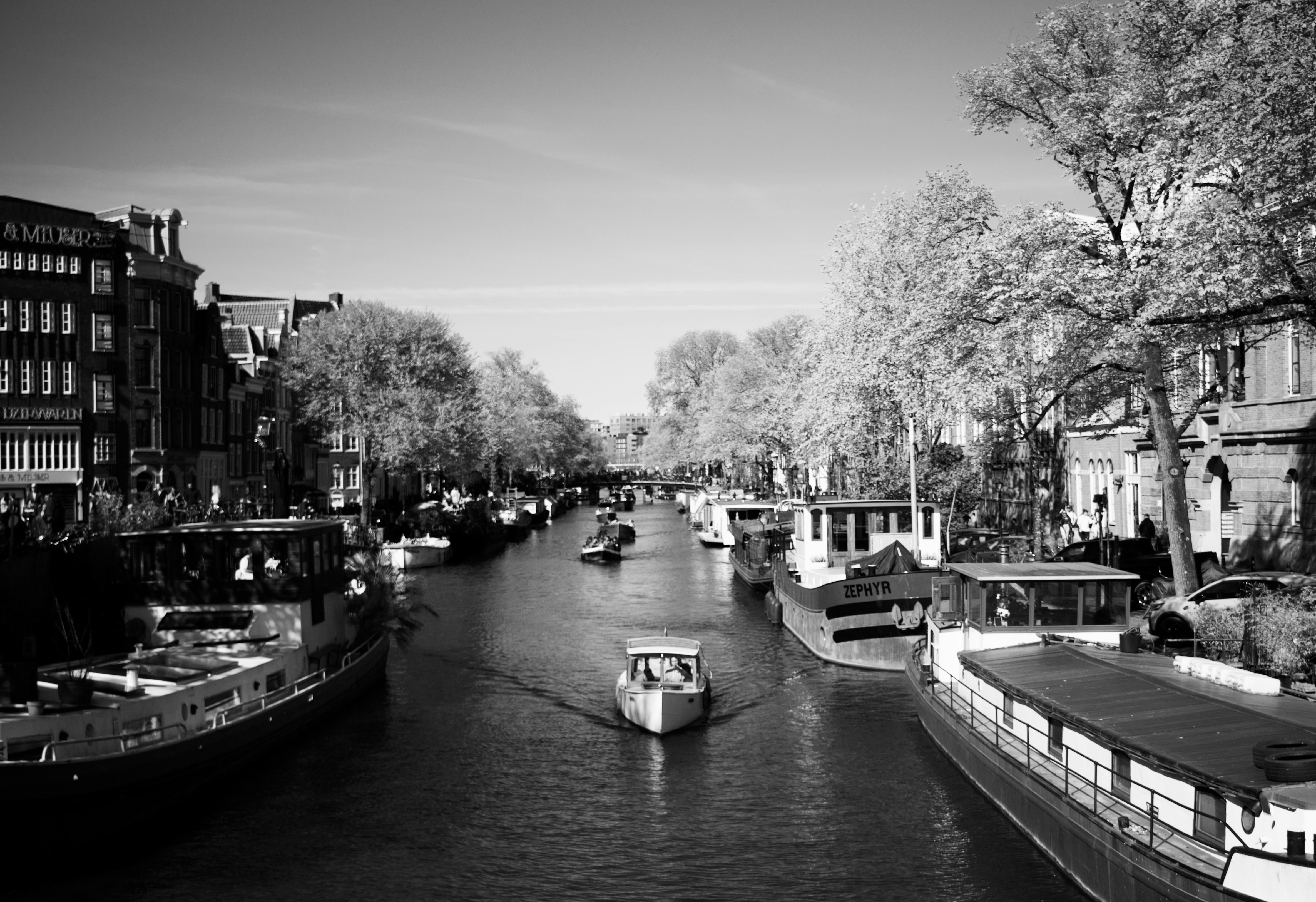 Photo by williamdmytrow