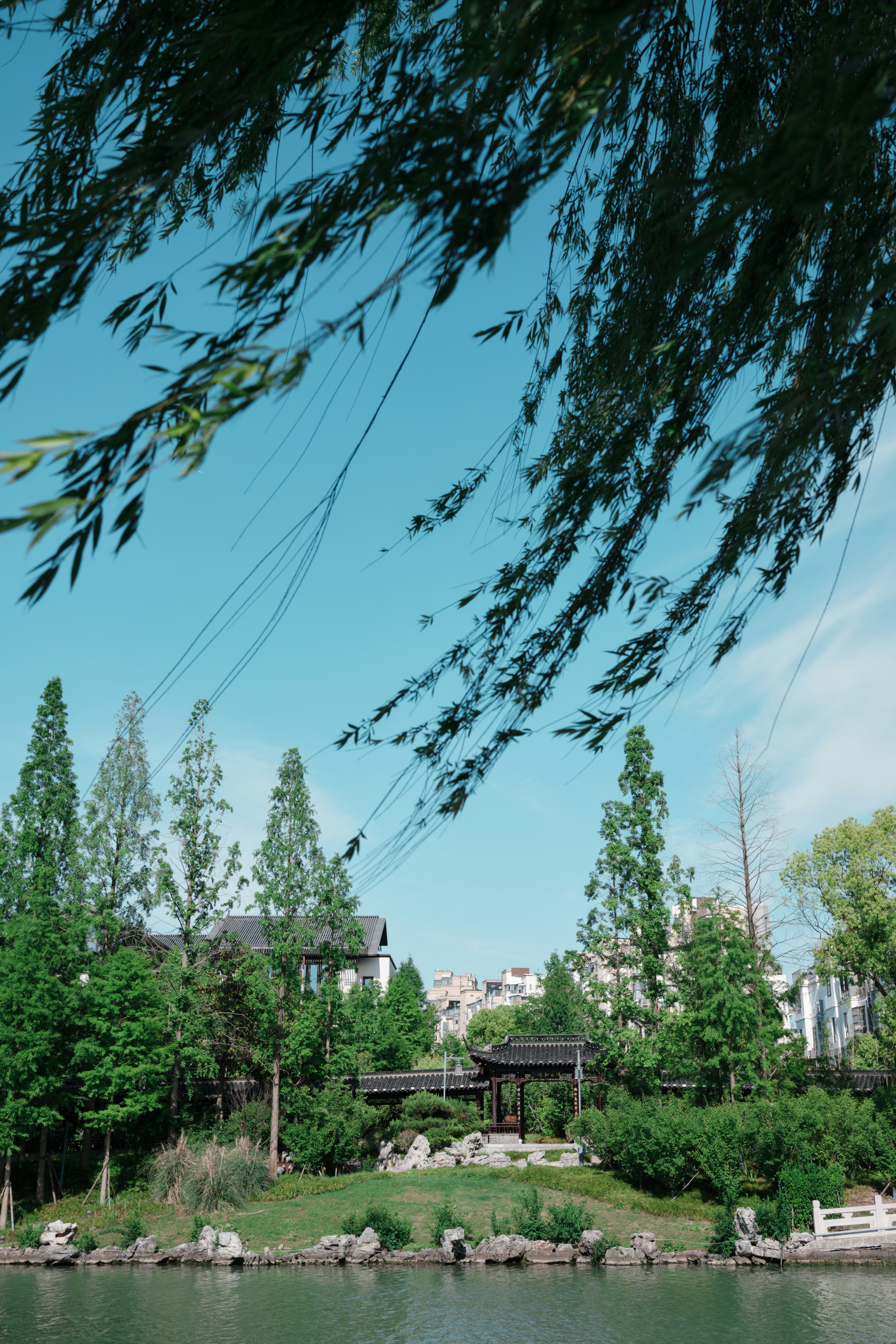 Trees and buildings by a calm lake under blue sky.