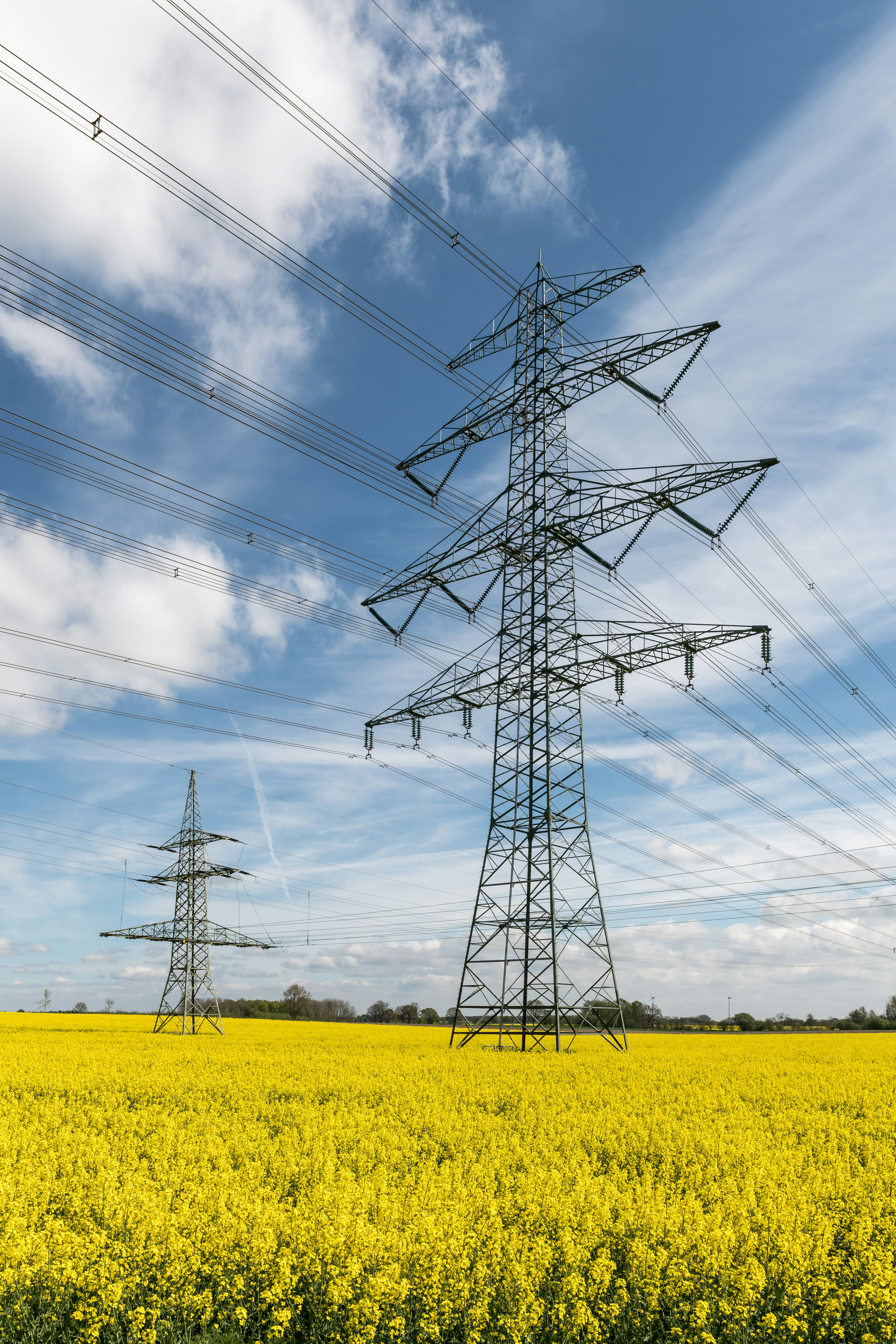 Power towers in a field of yellow flowers