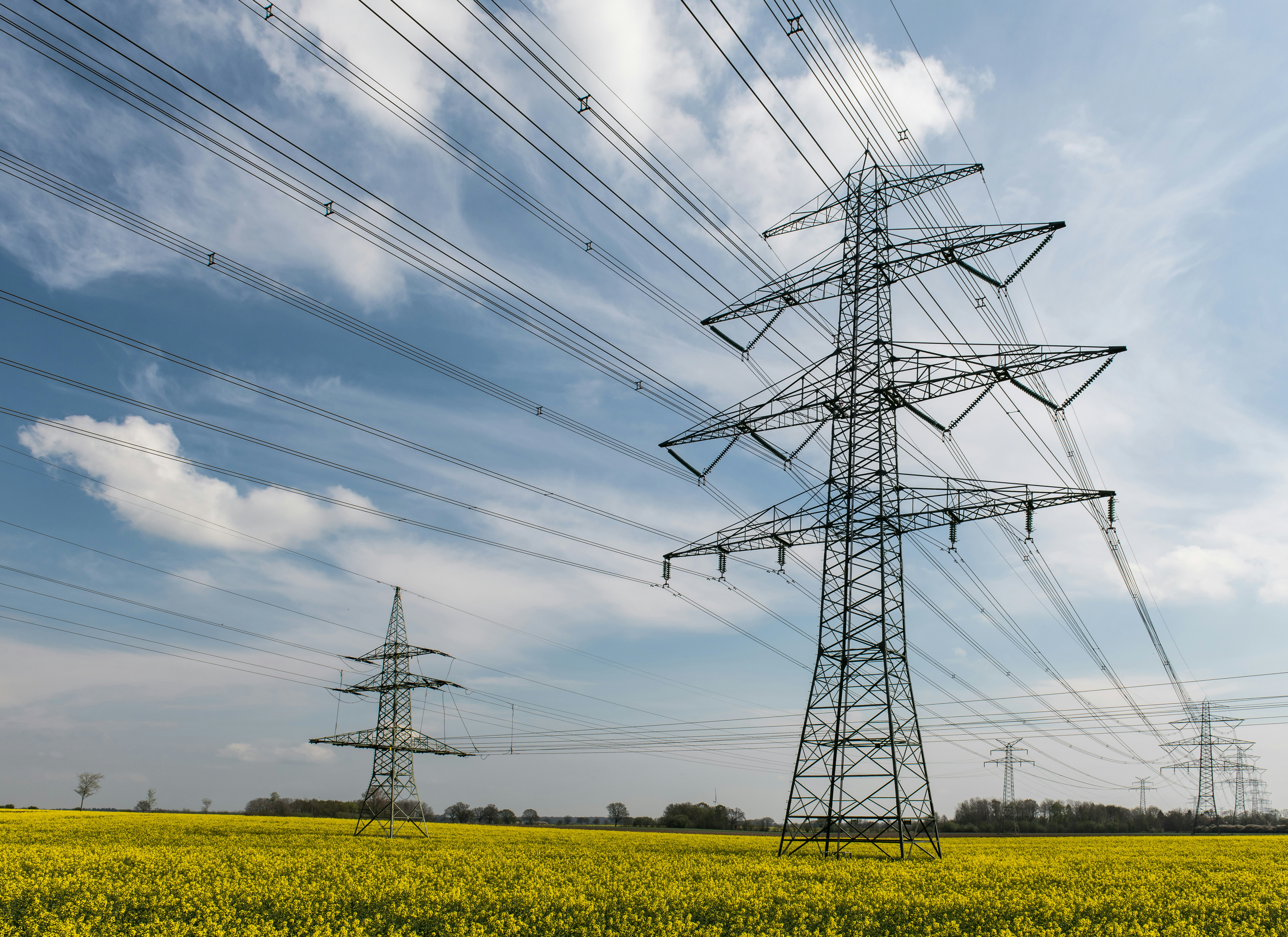 Power lines stretch across a yellow field under blue sky.