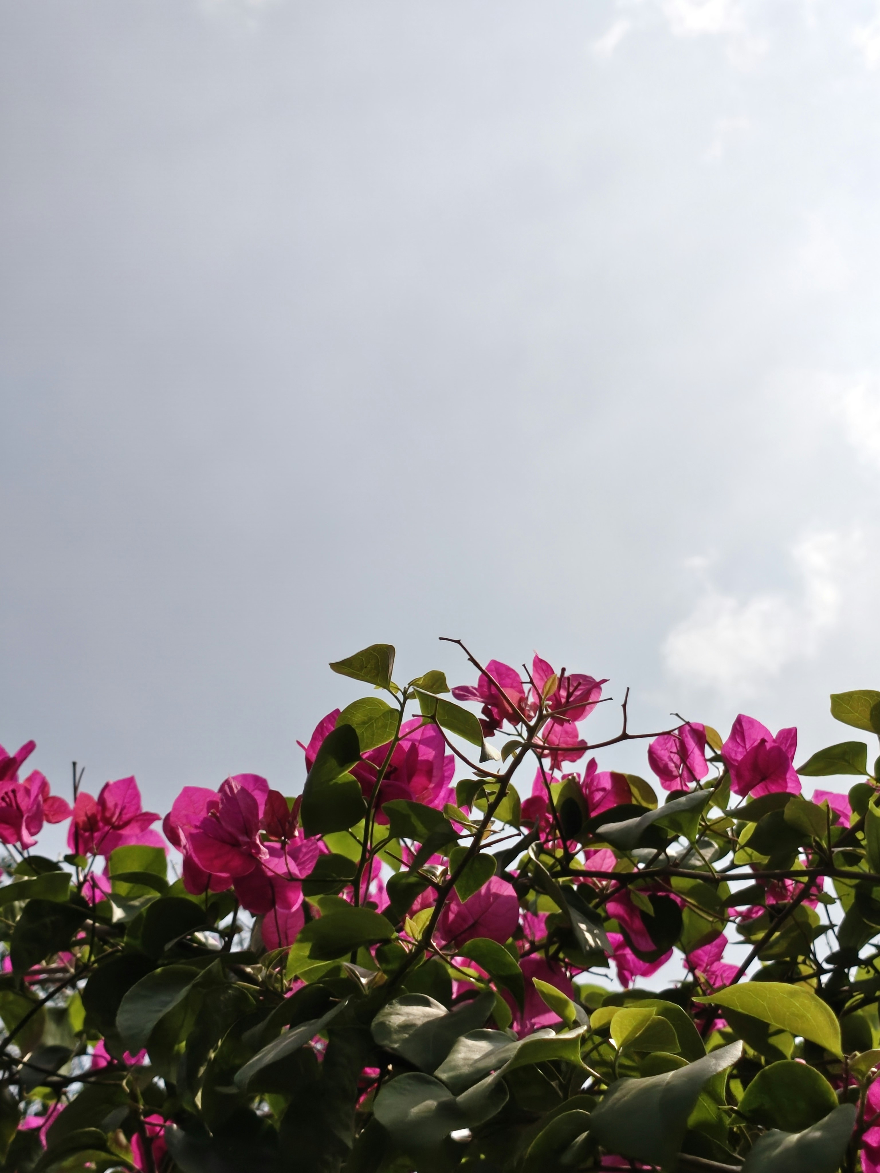 Photo by naimur9