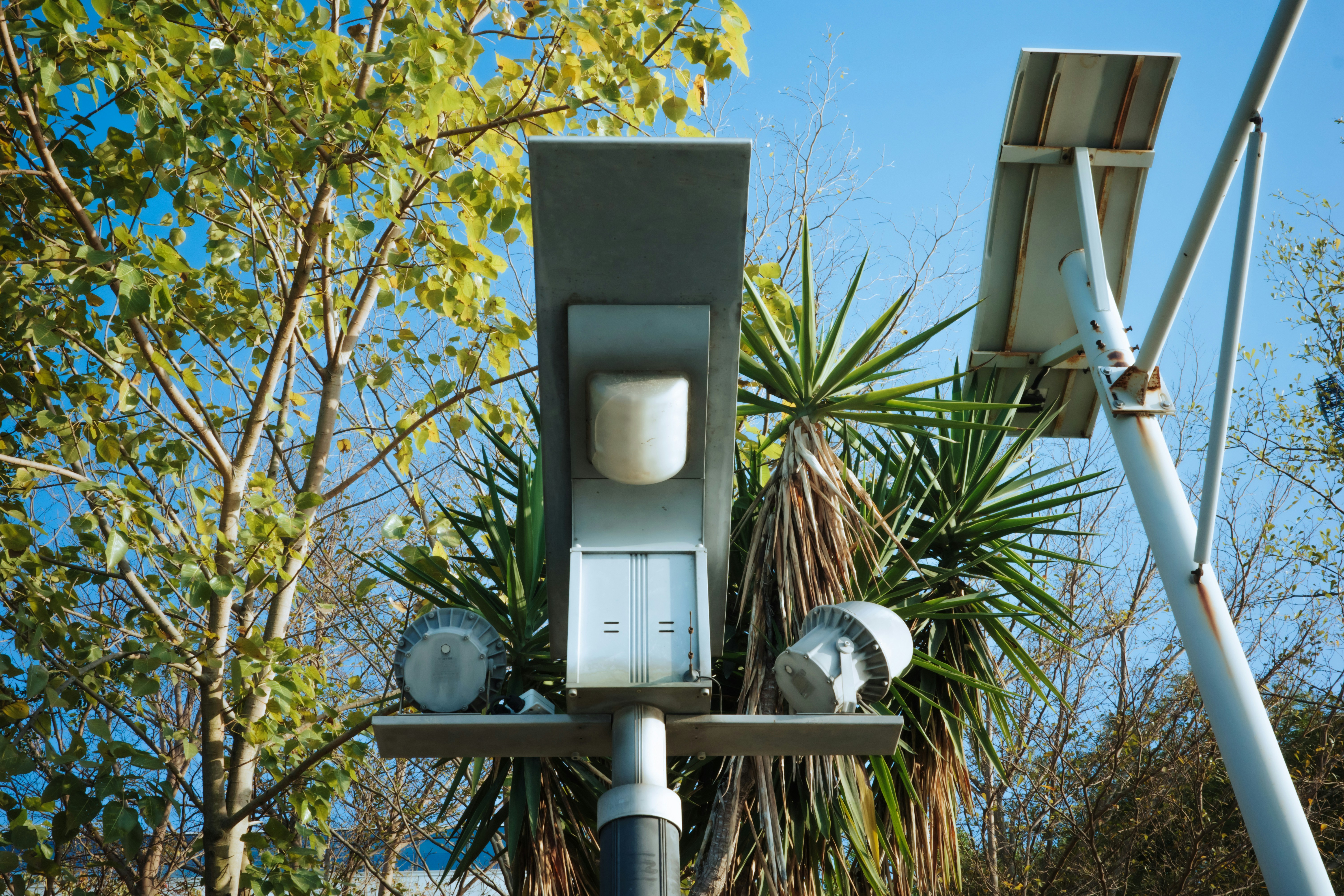 Technician performing solar LED upkeep inspection on outdoor lighting