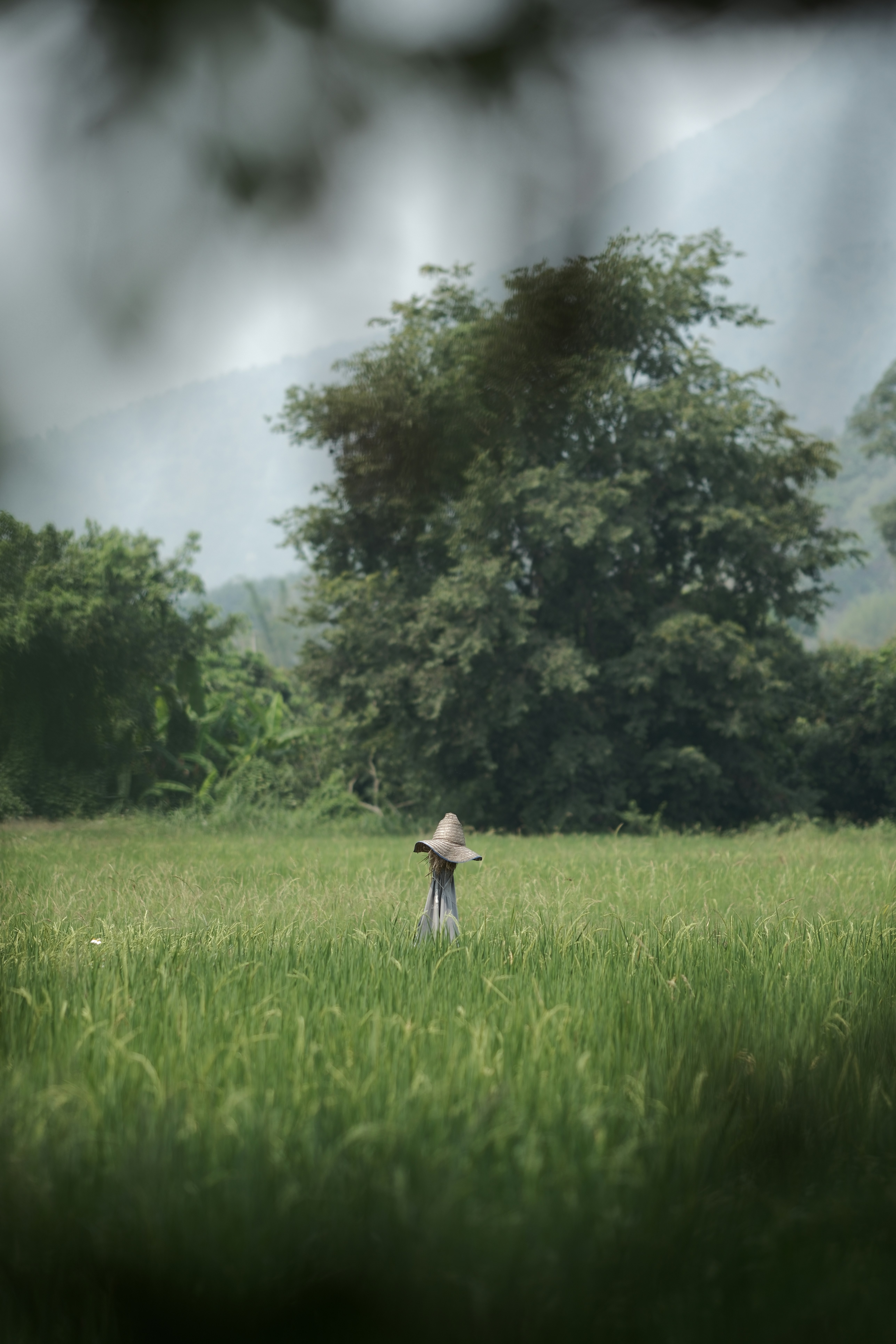 Photo by marcohaenssgen