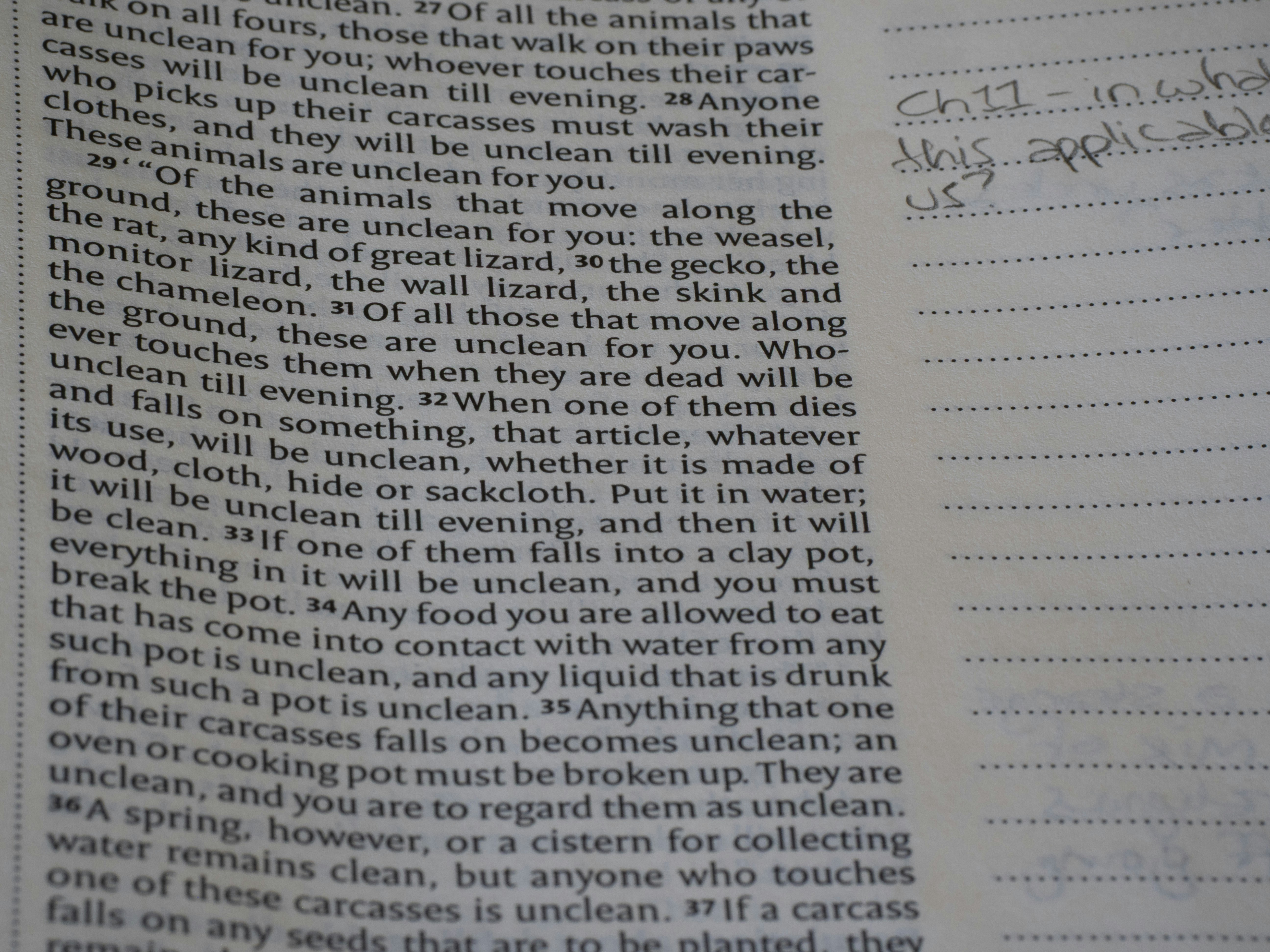 Close-up of an open book with text.
