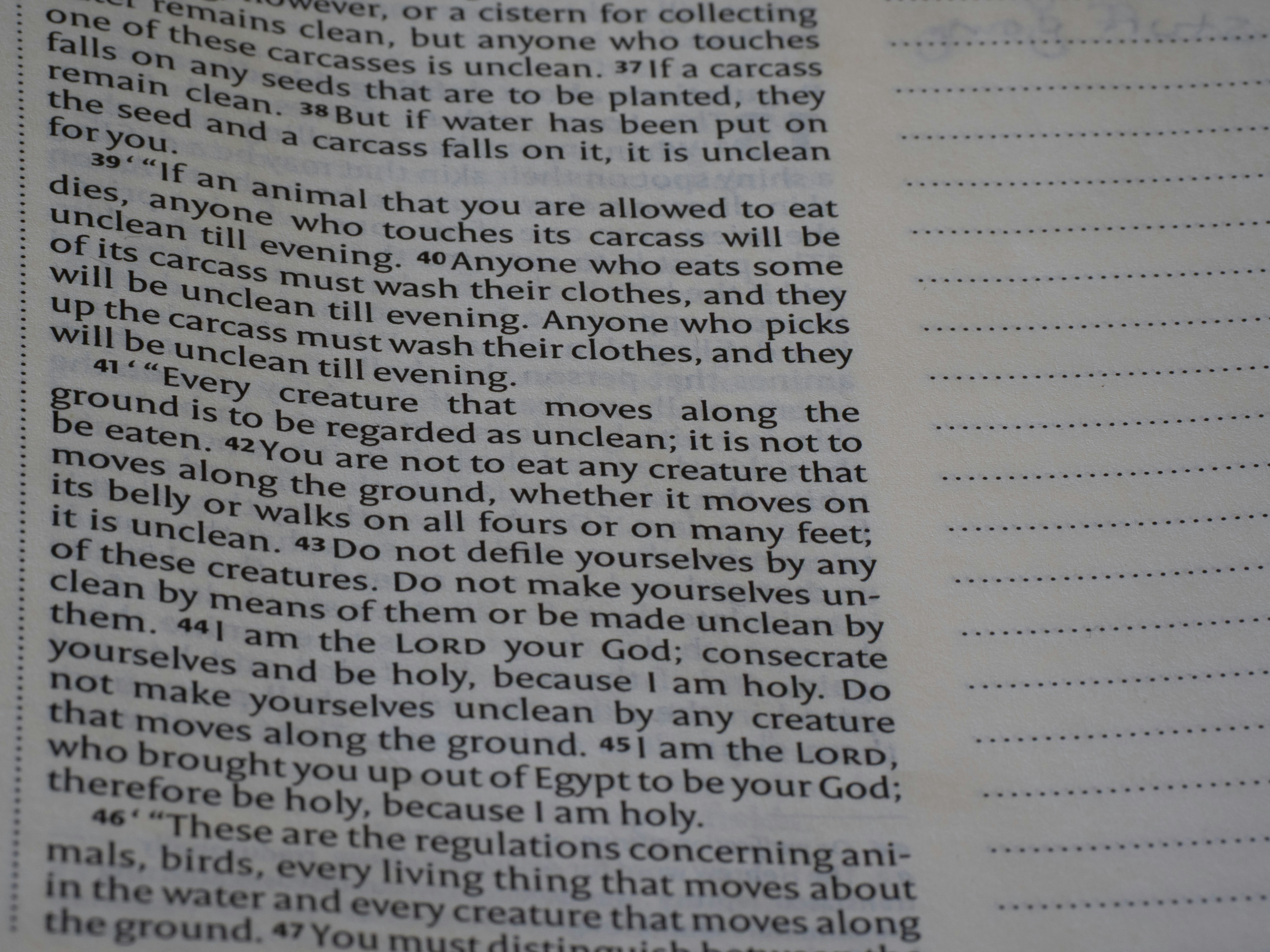 Close-up of text on a page with narrow columns.