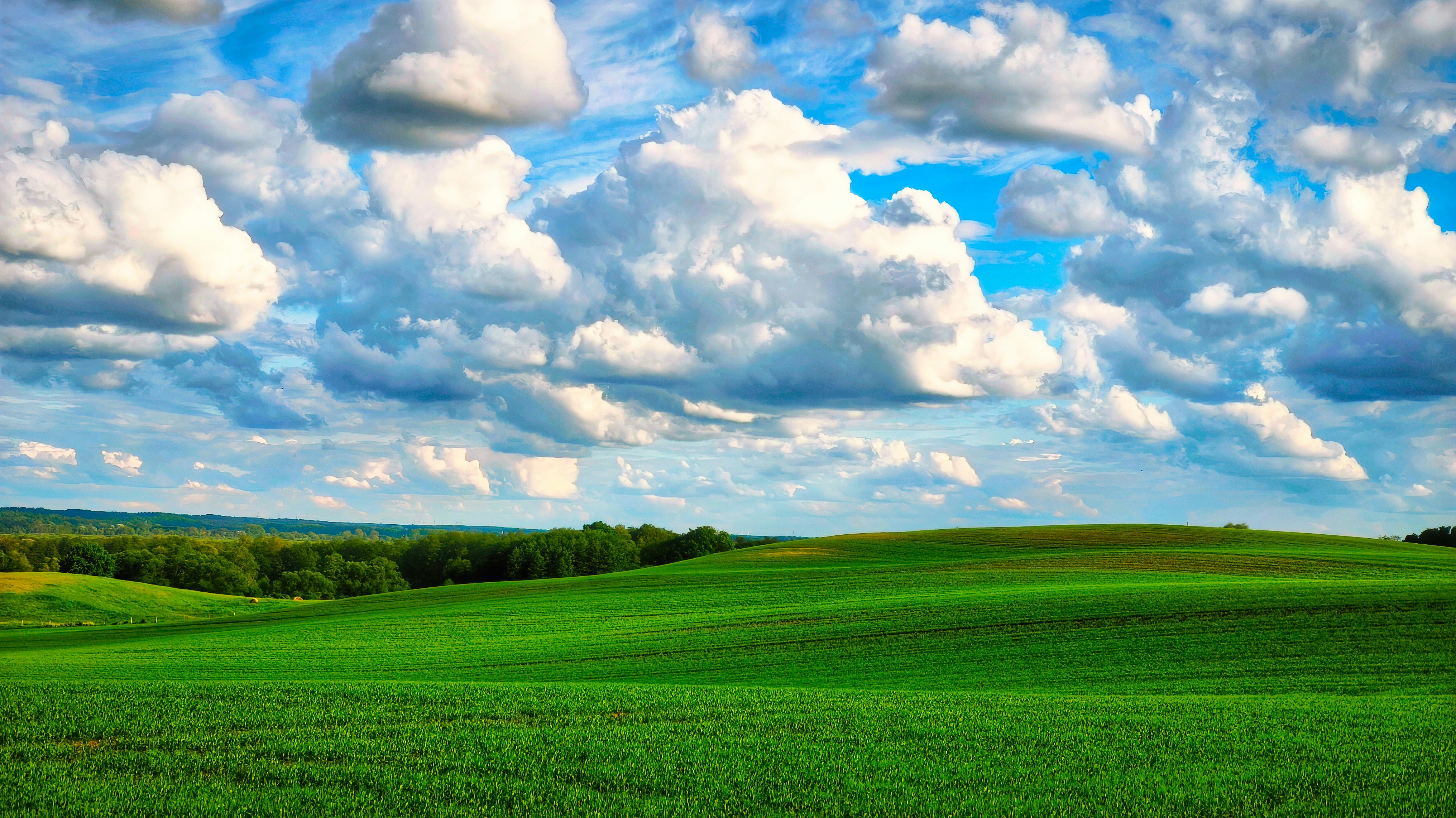 Photo by skajpel