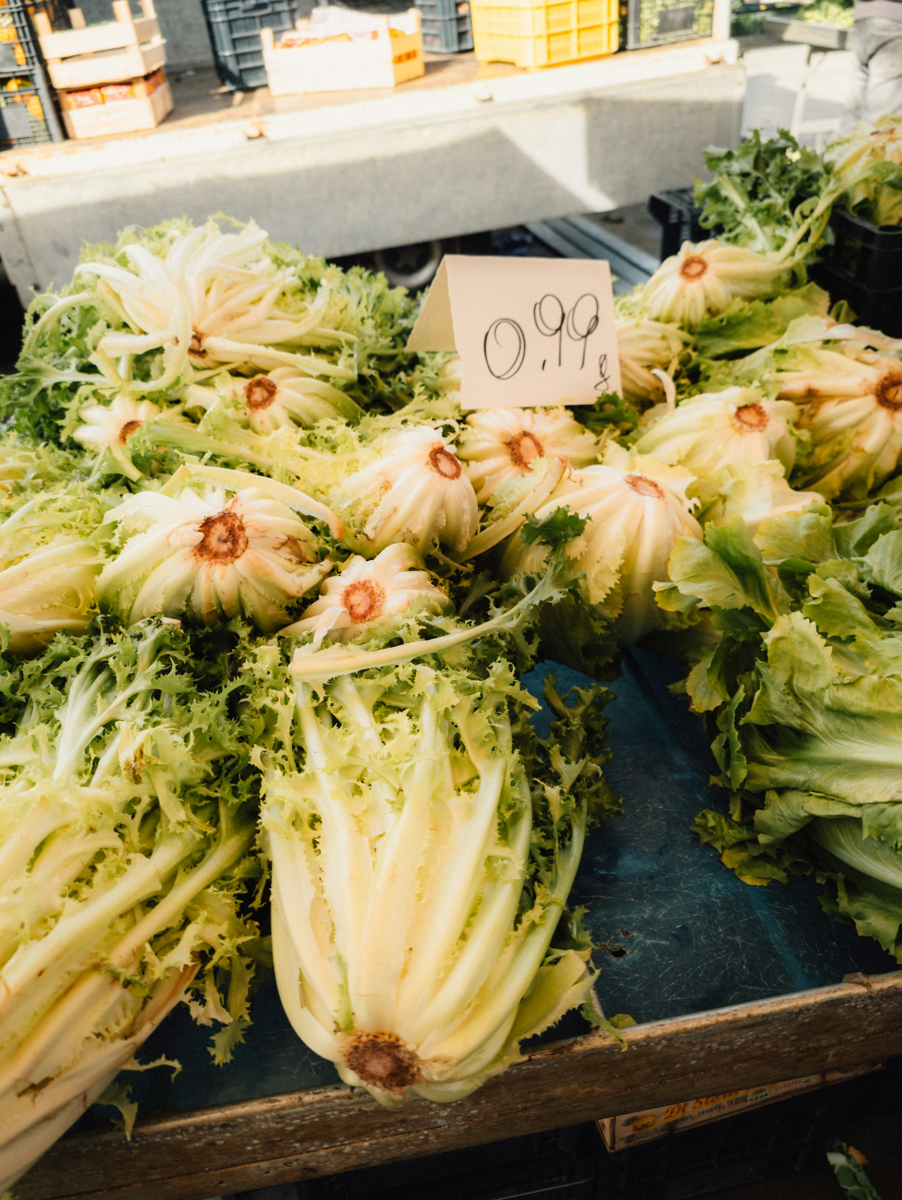 Fresh endive lettuce displayed at a market stall