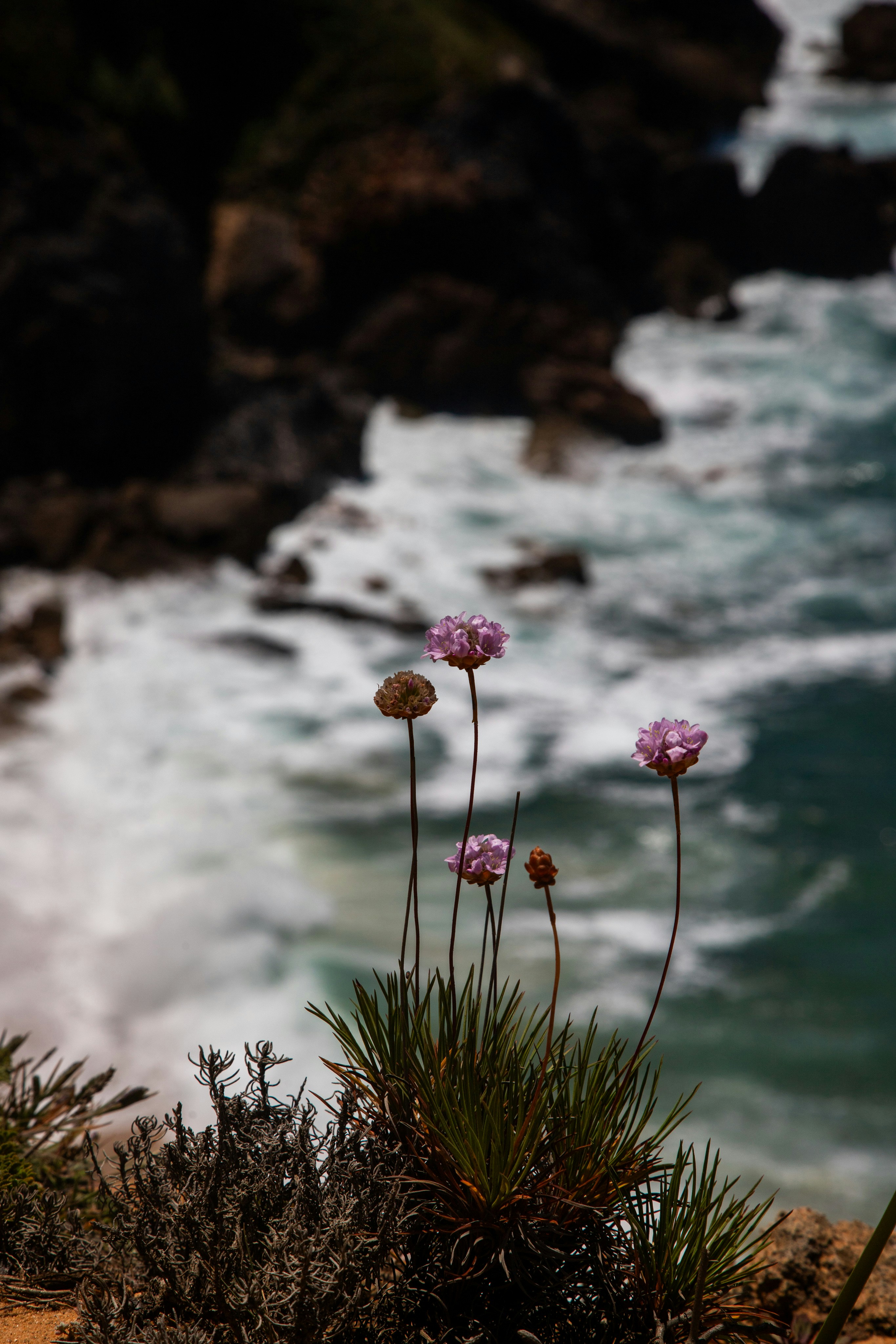 Photo by hdbernd