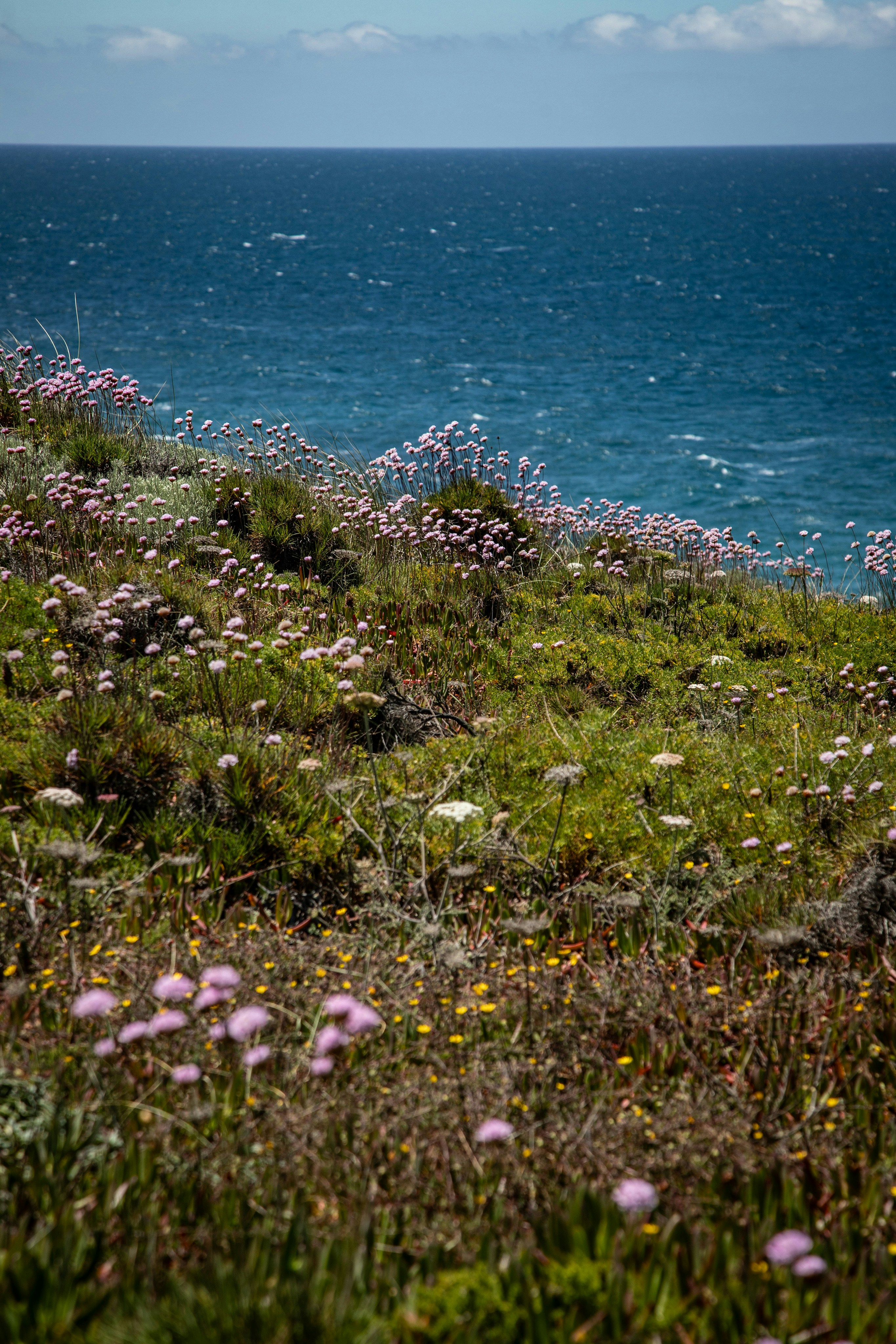 Photo by hdbernd