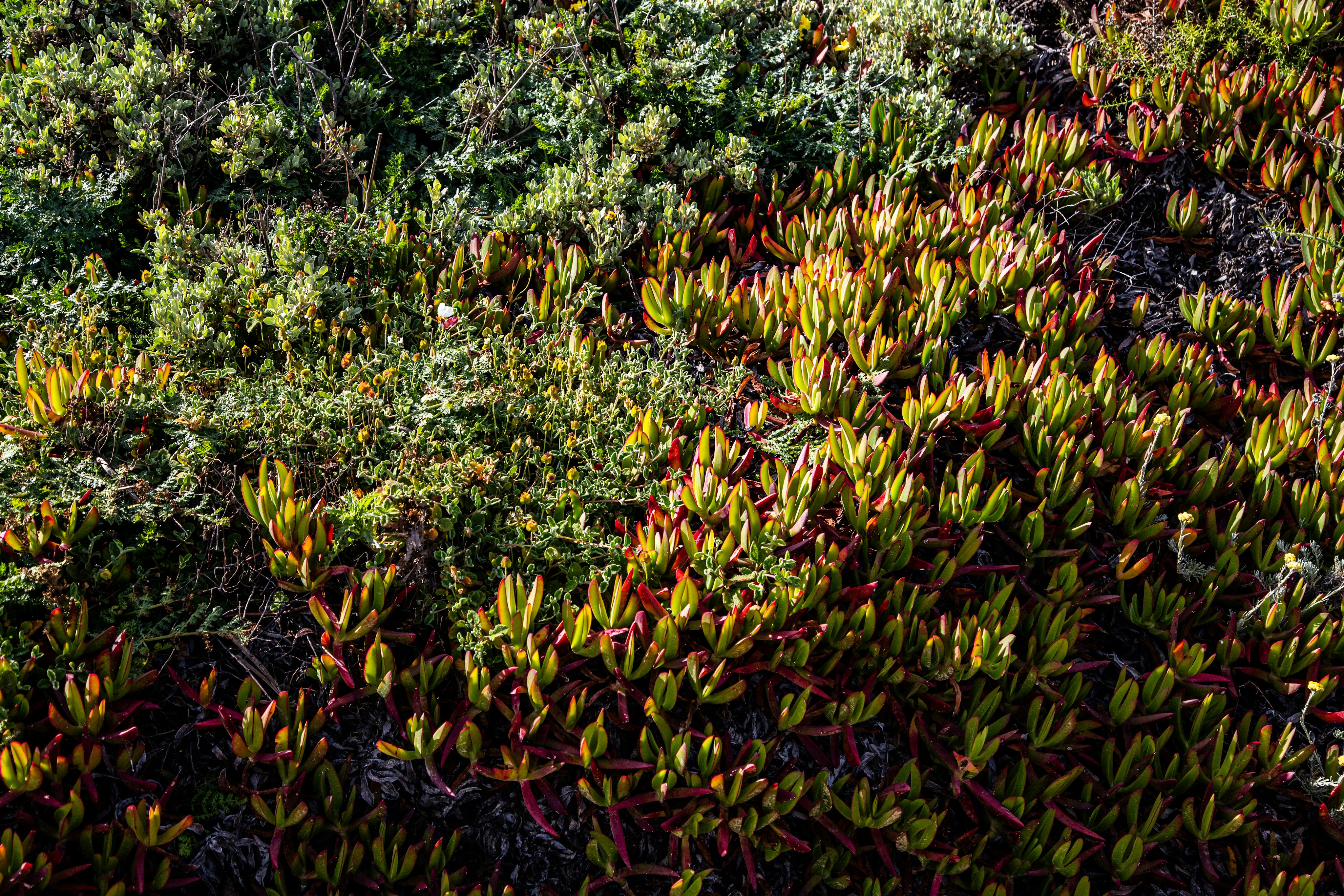 Photo by hdbernd