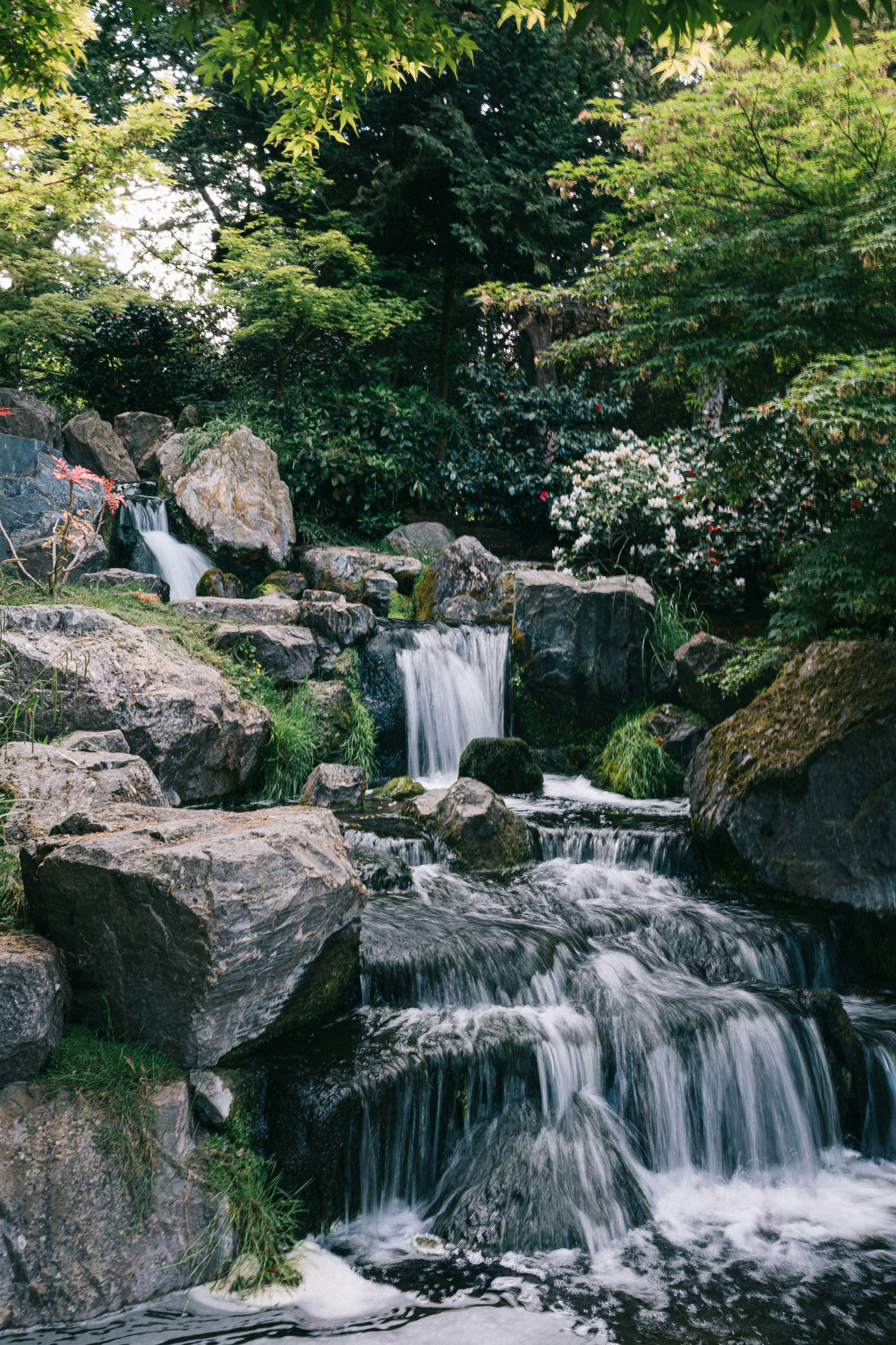 Photo by snapshot_journey