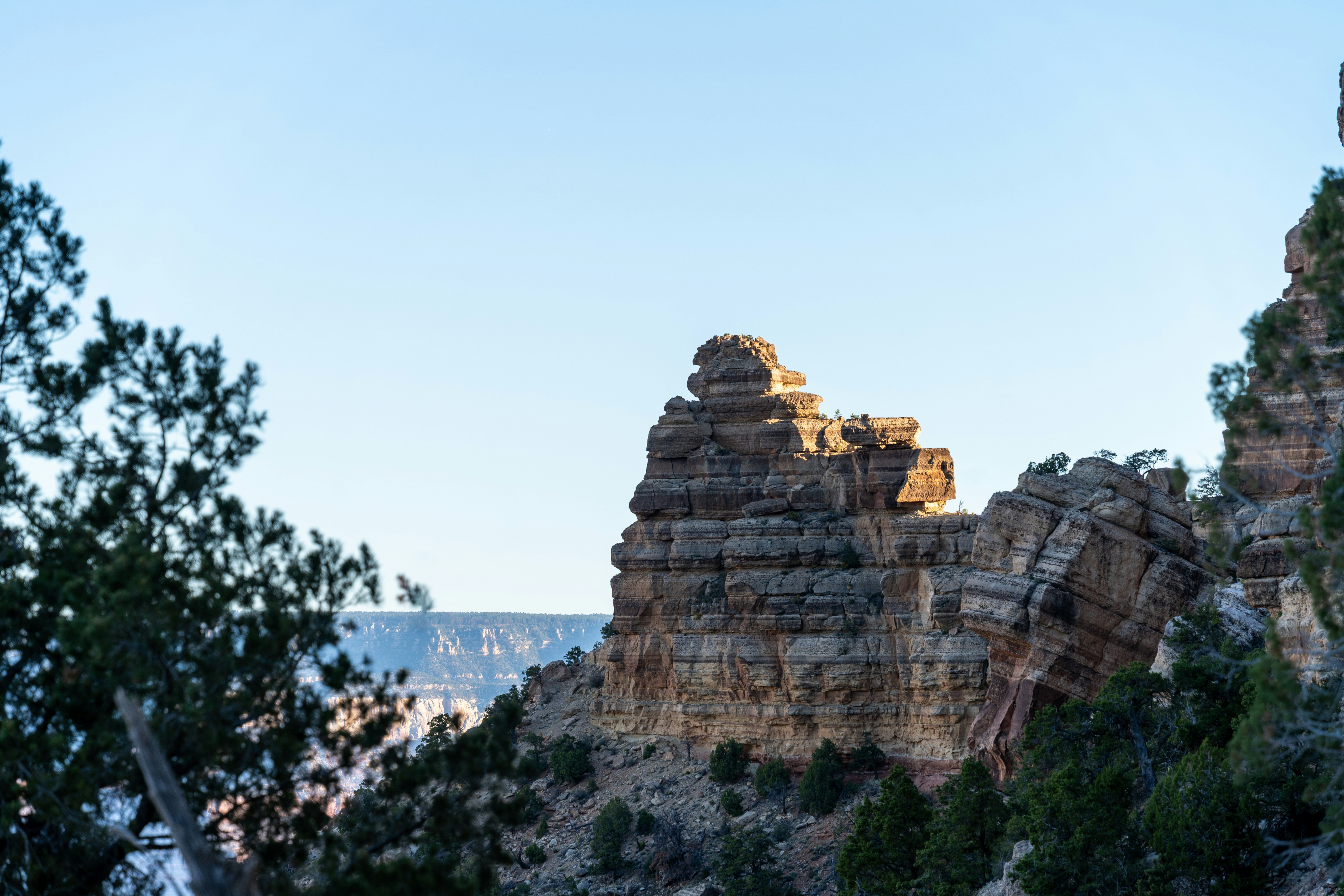 Layered rock formations in a canyon with trees