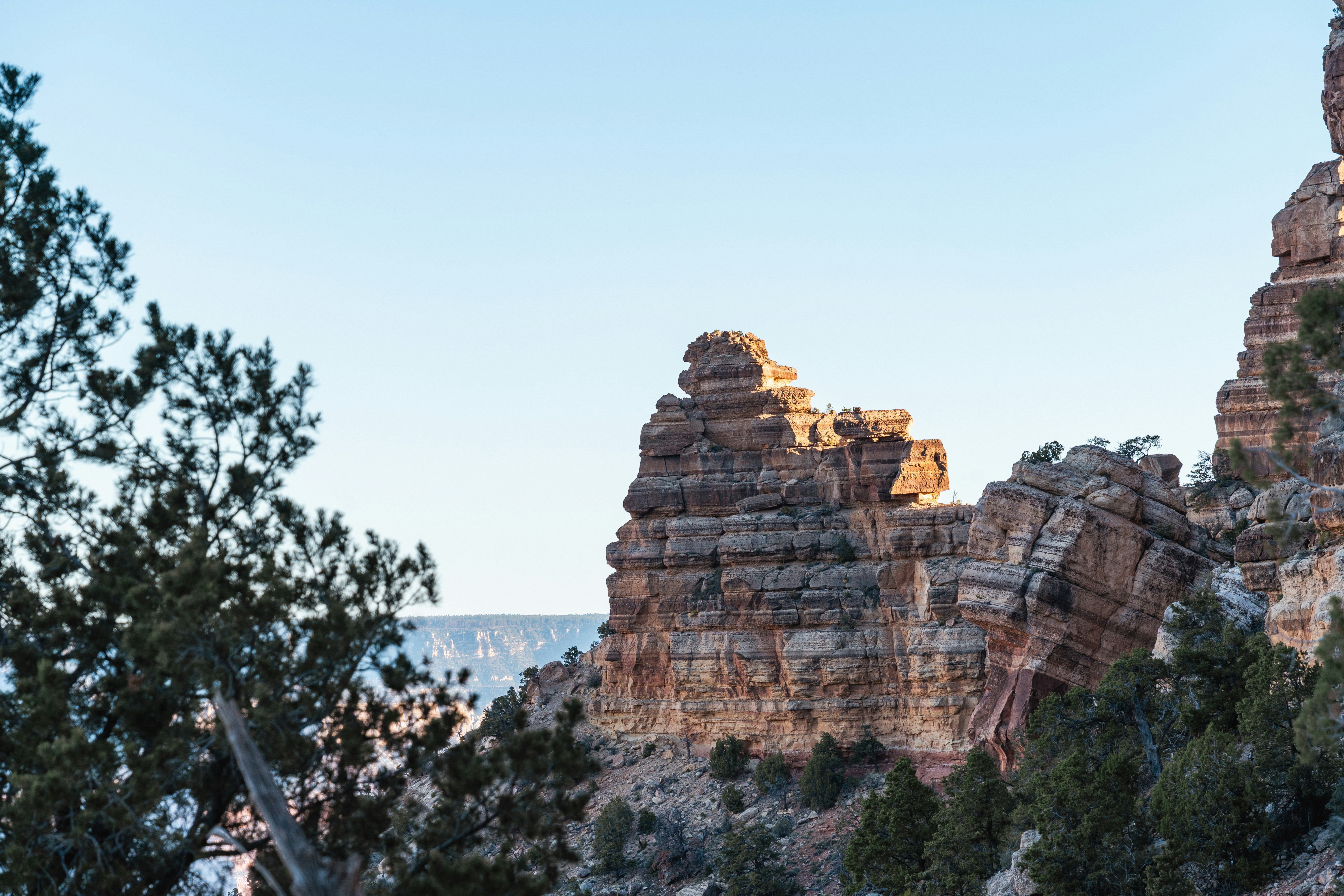 Rocky canyon landscape with trees under clear sky