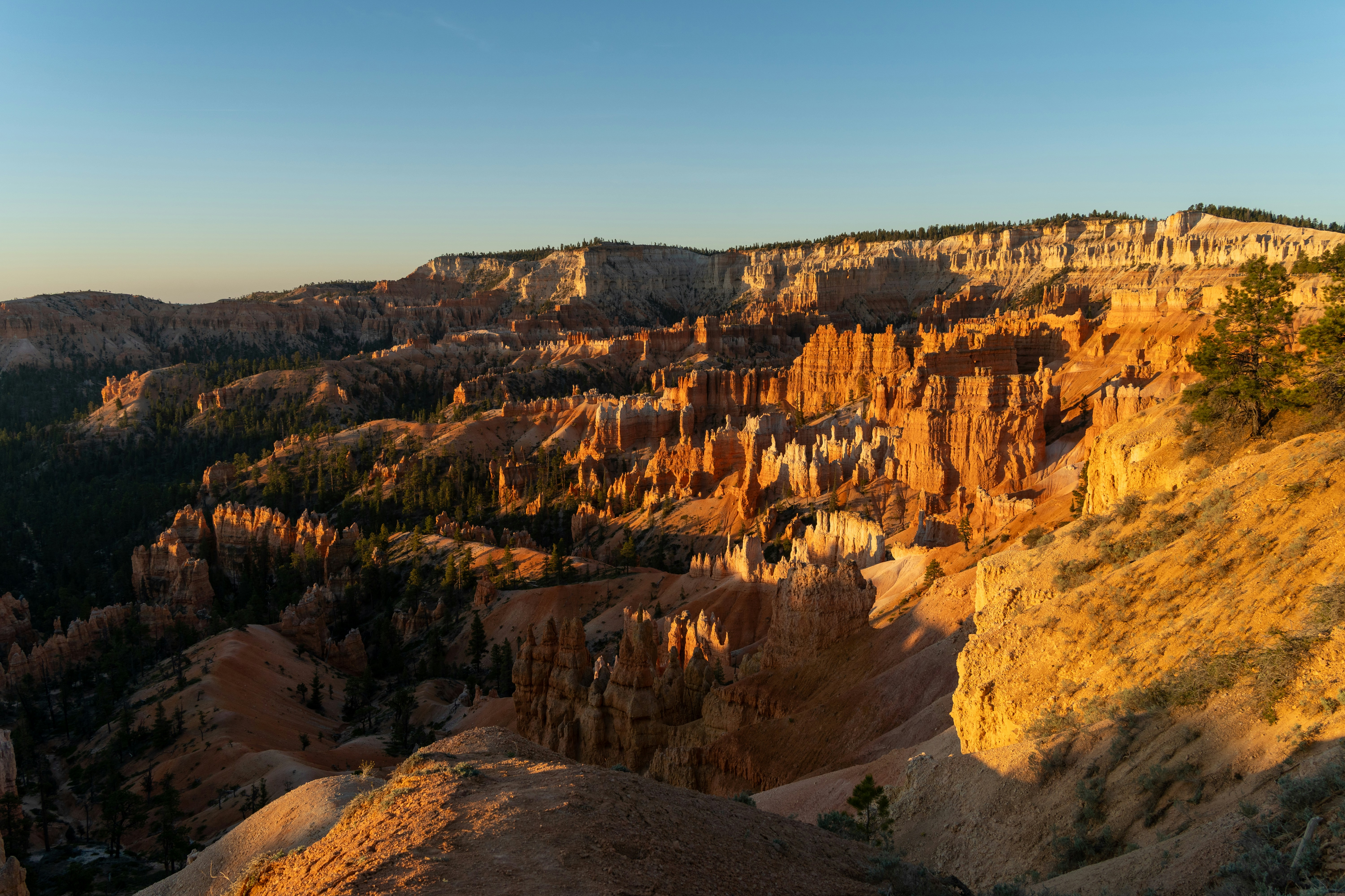 Sunrise illuminates hoodoos in a desert canyon