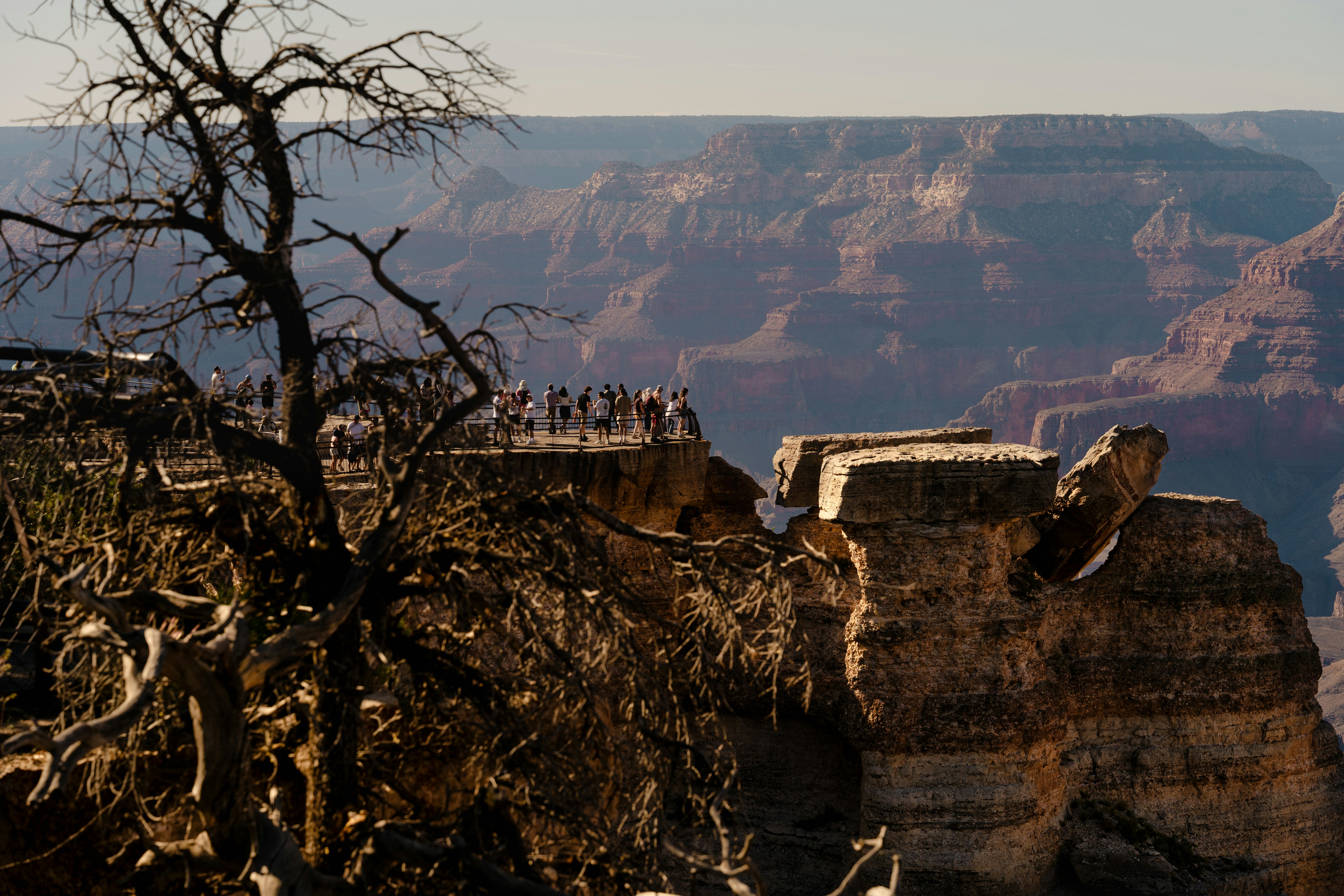 People observe the grand canyon from a viewpoint