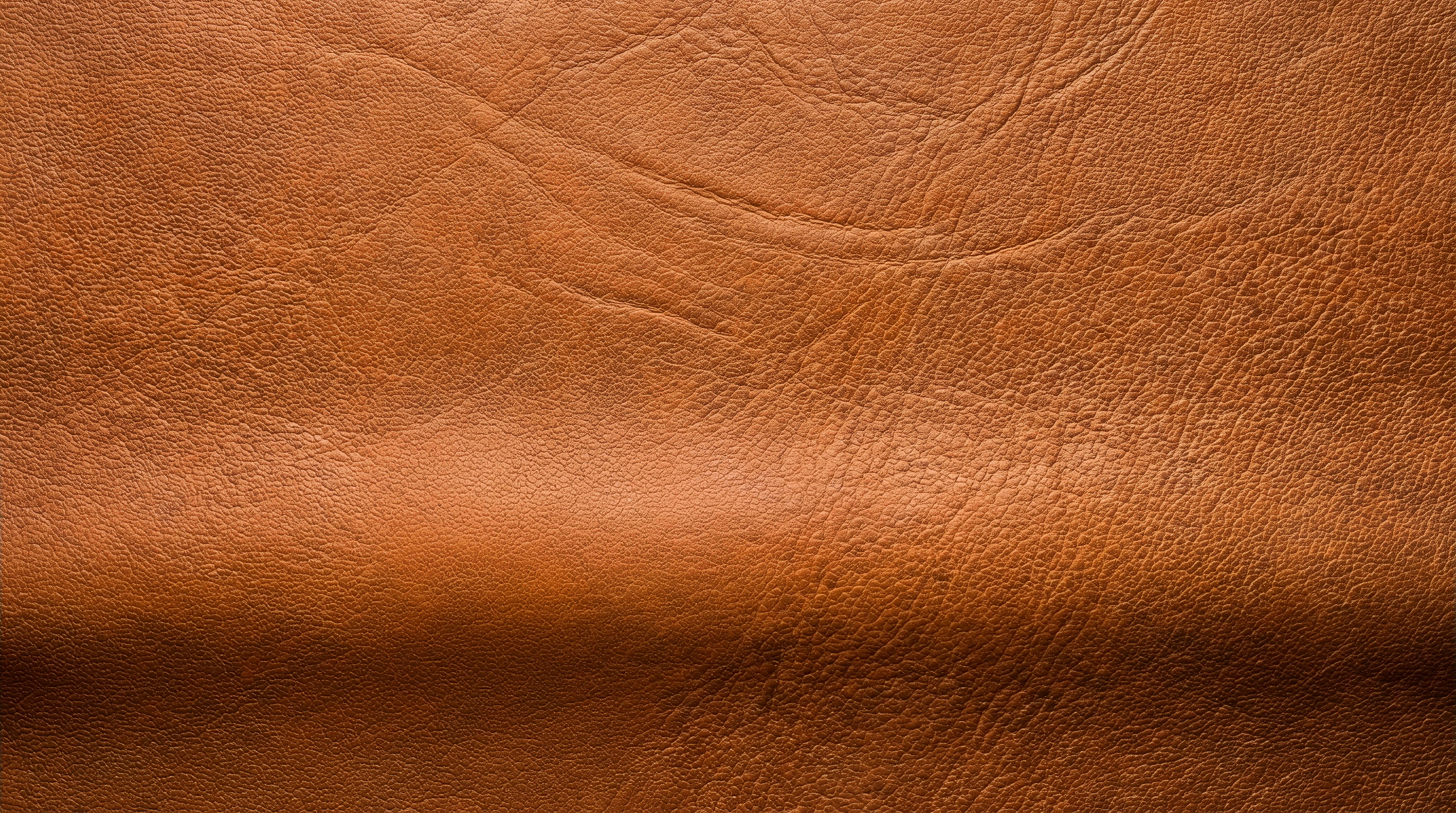 watch leather strap brown closeup