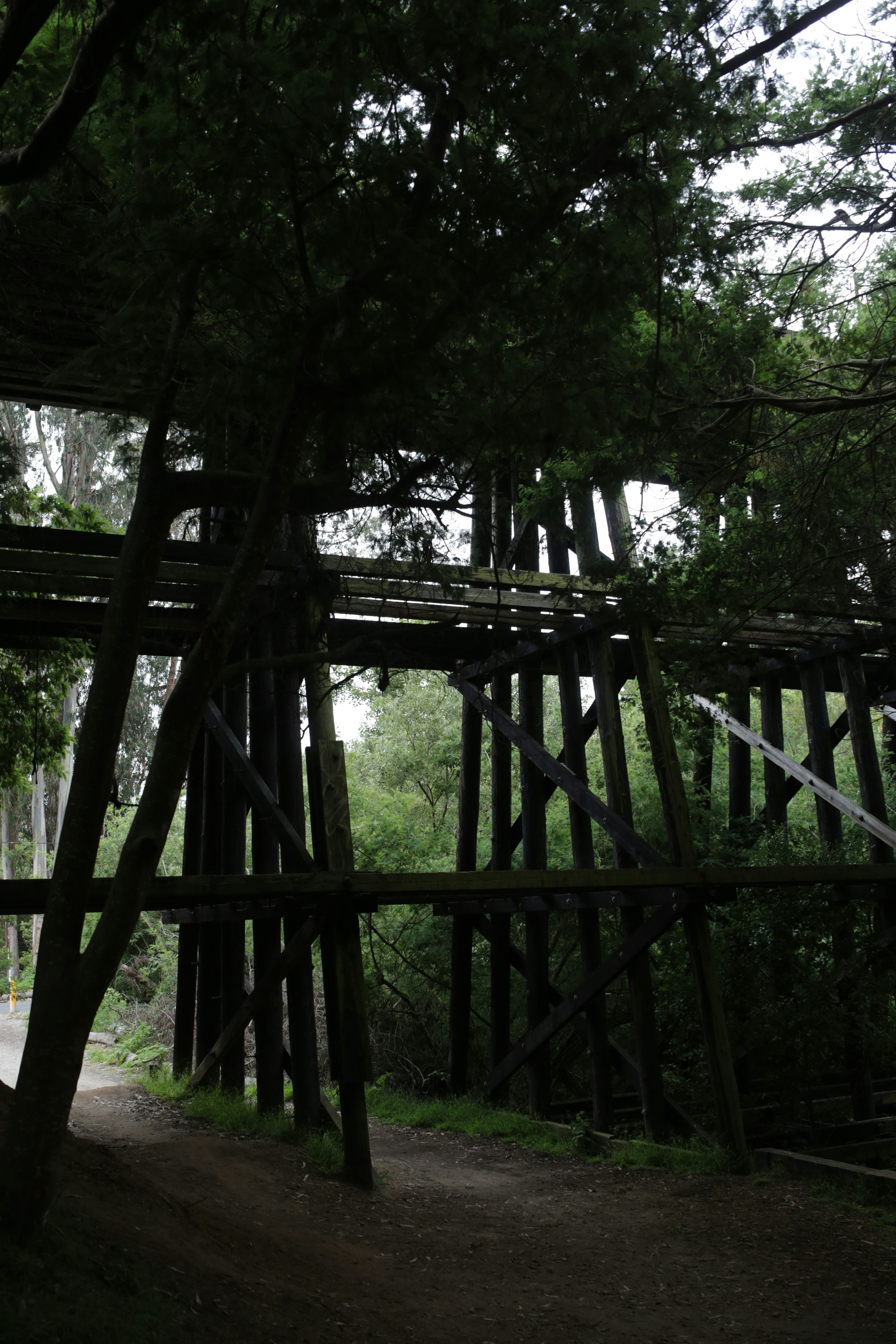 Old wooden trestle bridge above a winding dirt path.