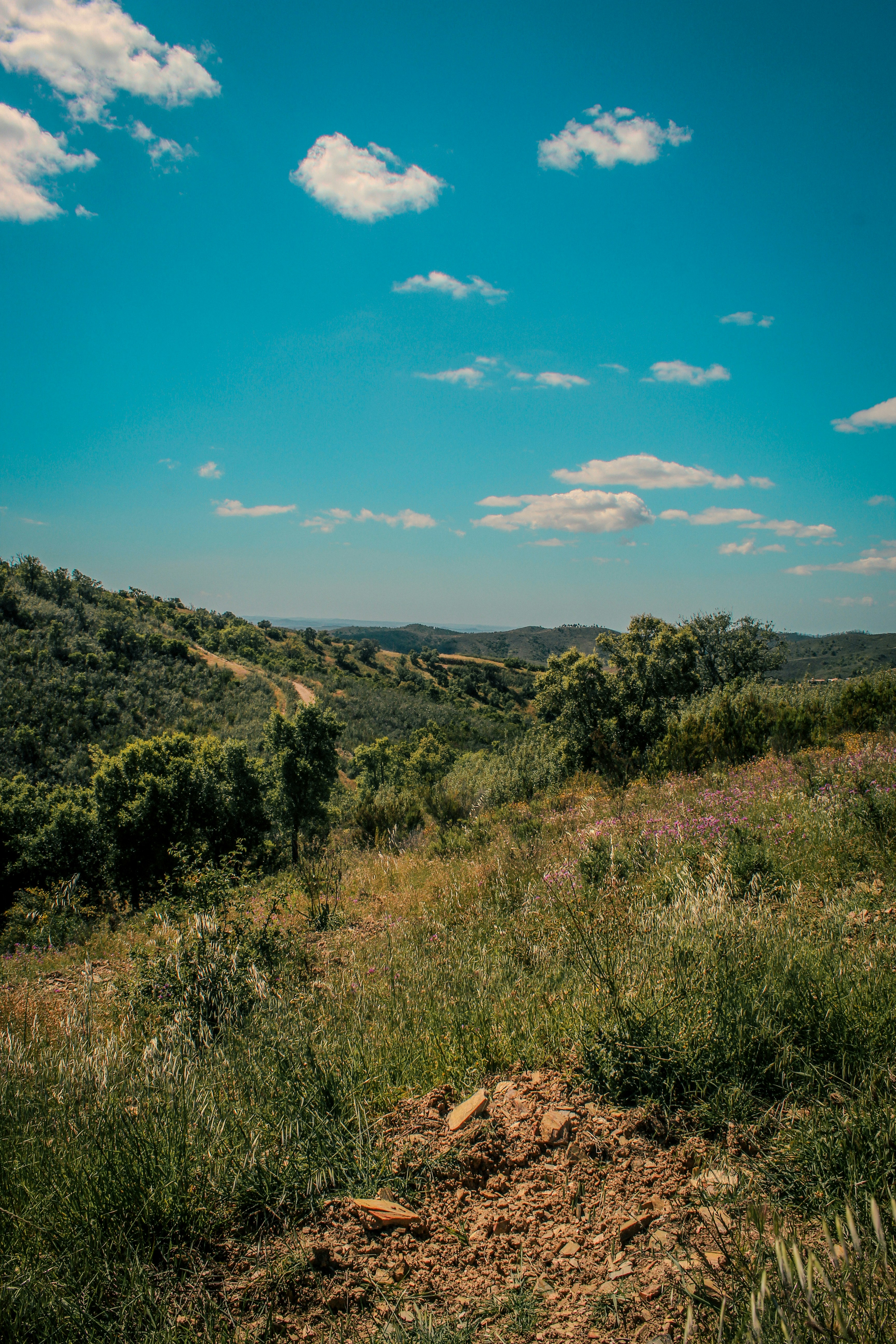 Photo by padi26