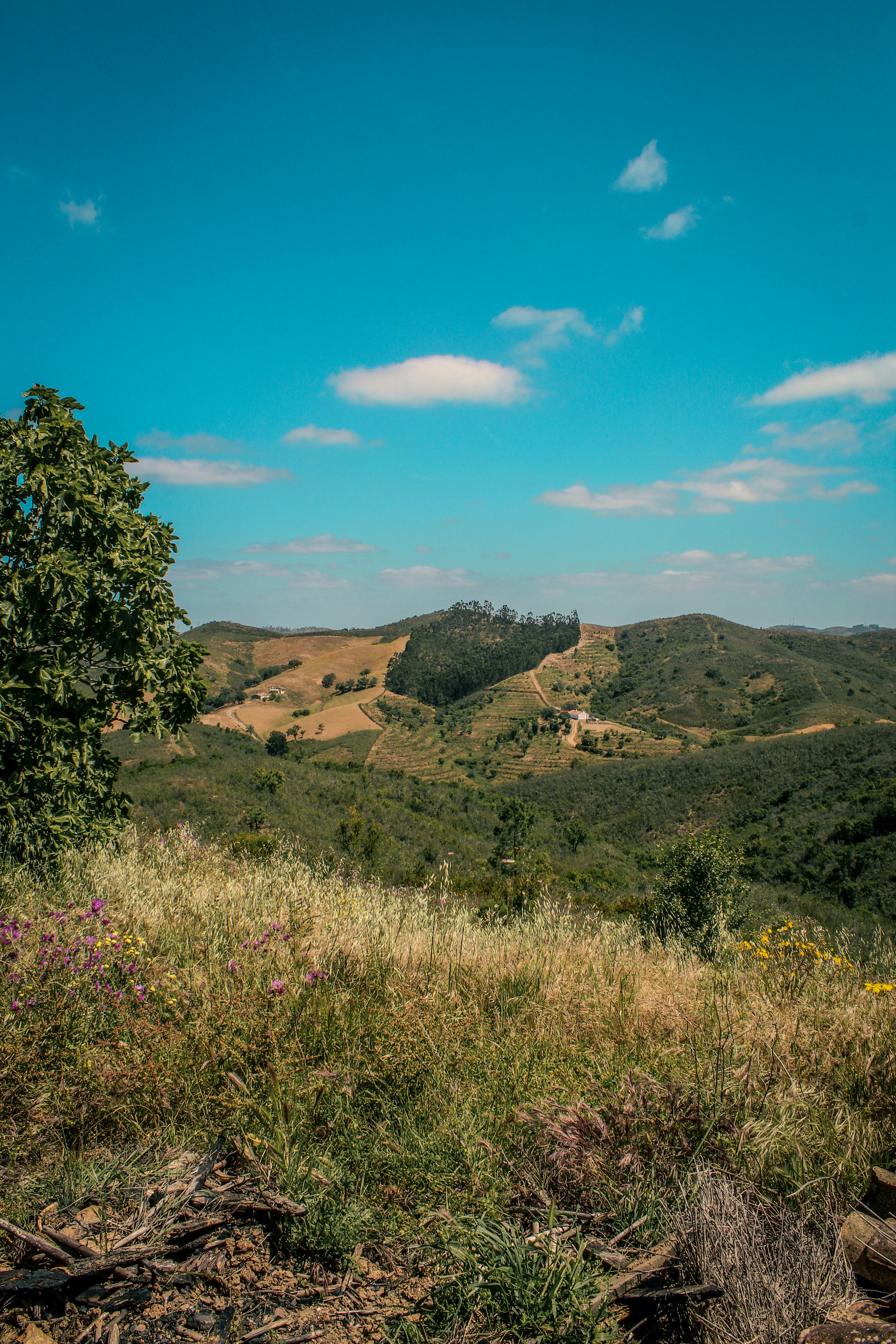 Photo by padi26