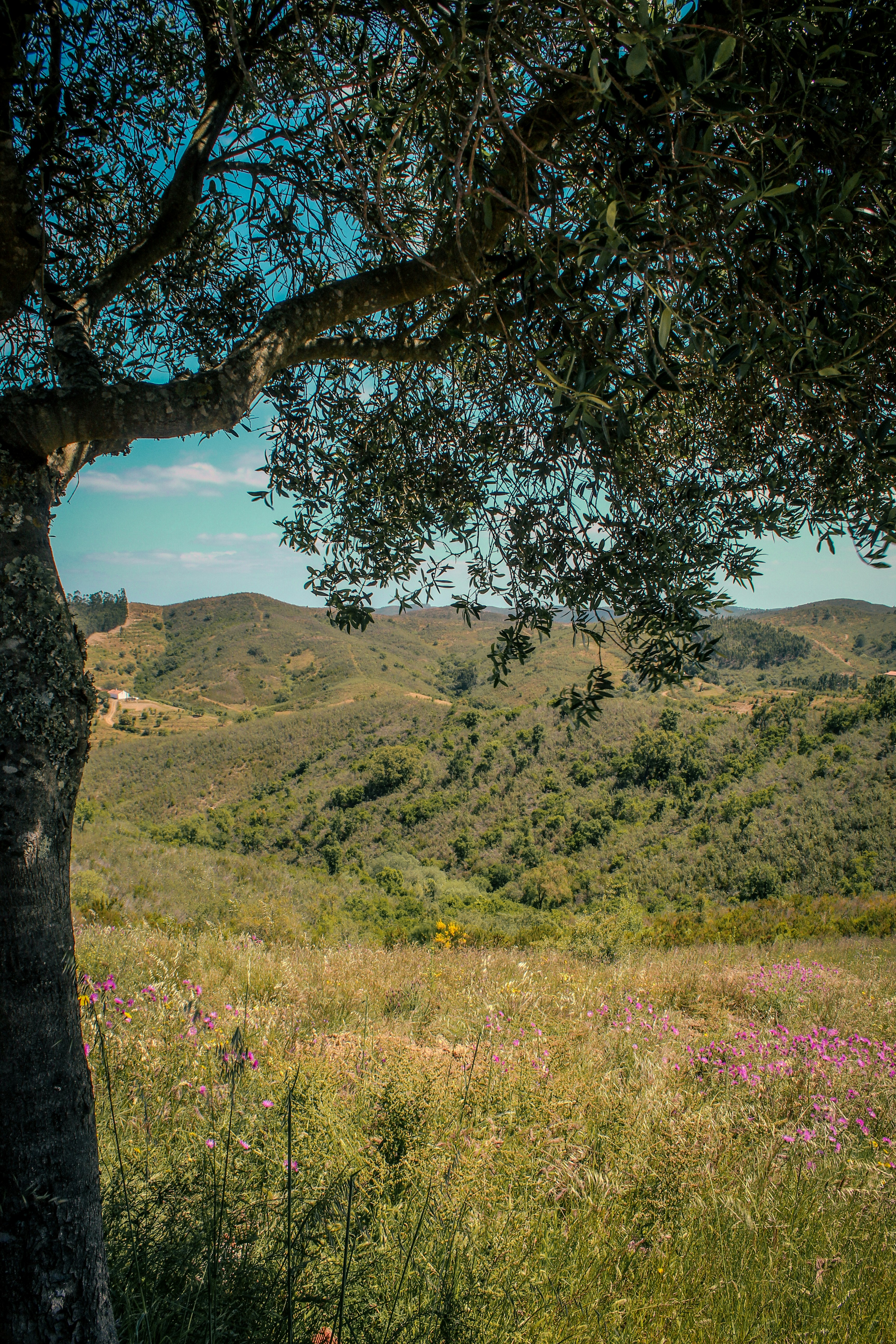 Photo by padi26
