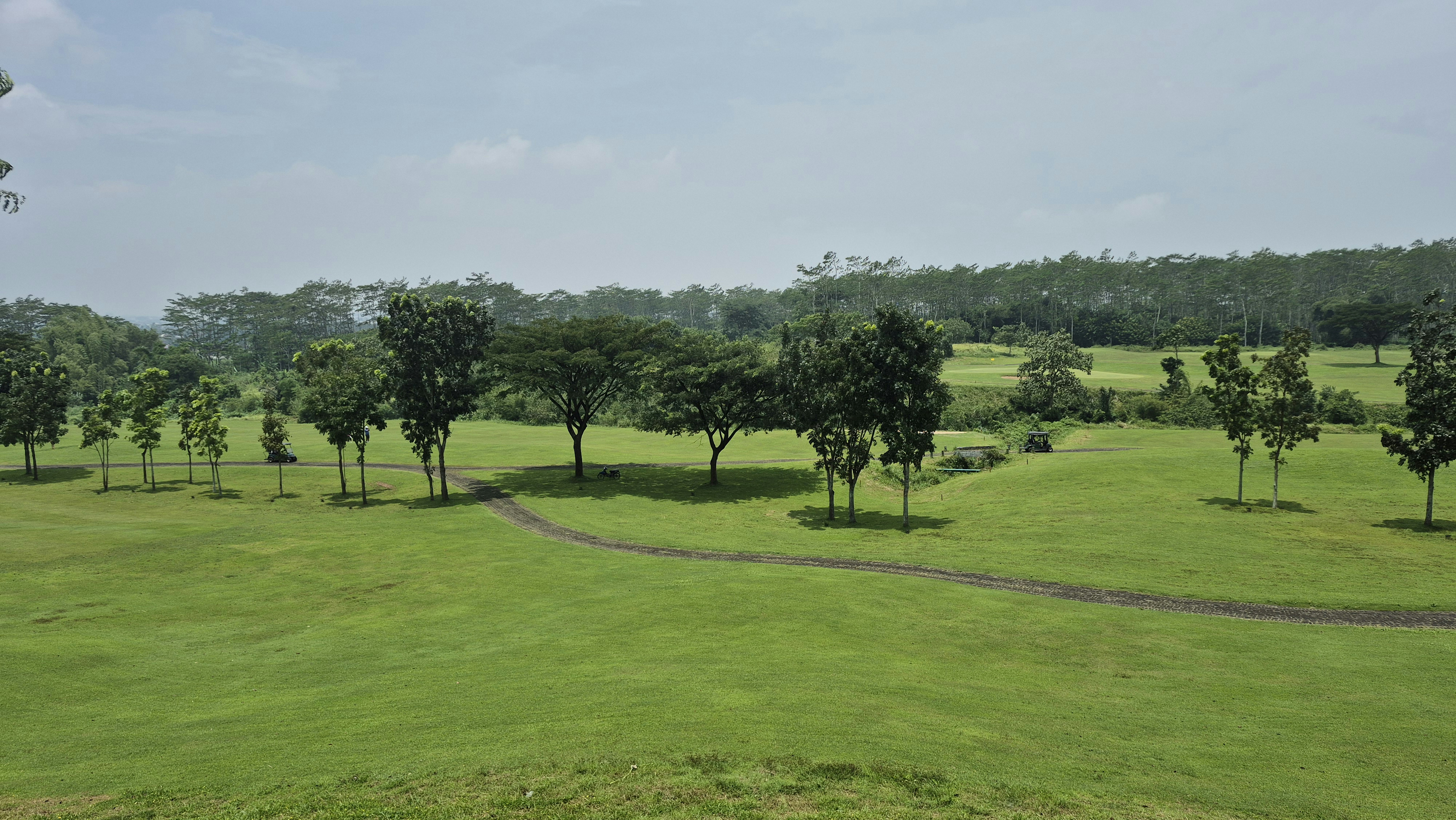 Paisaje verde y exuberante con árboles y un sendero sinuoso.