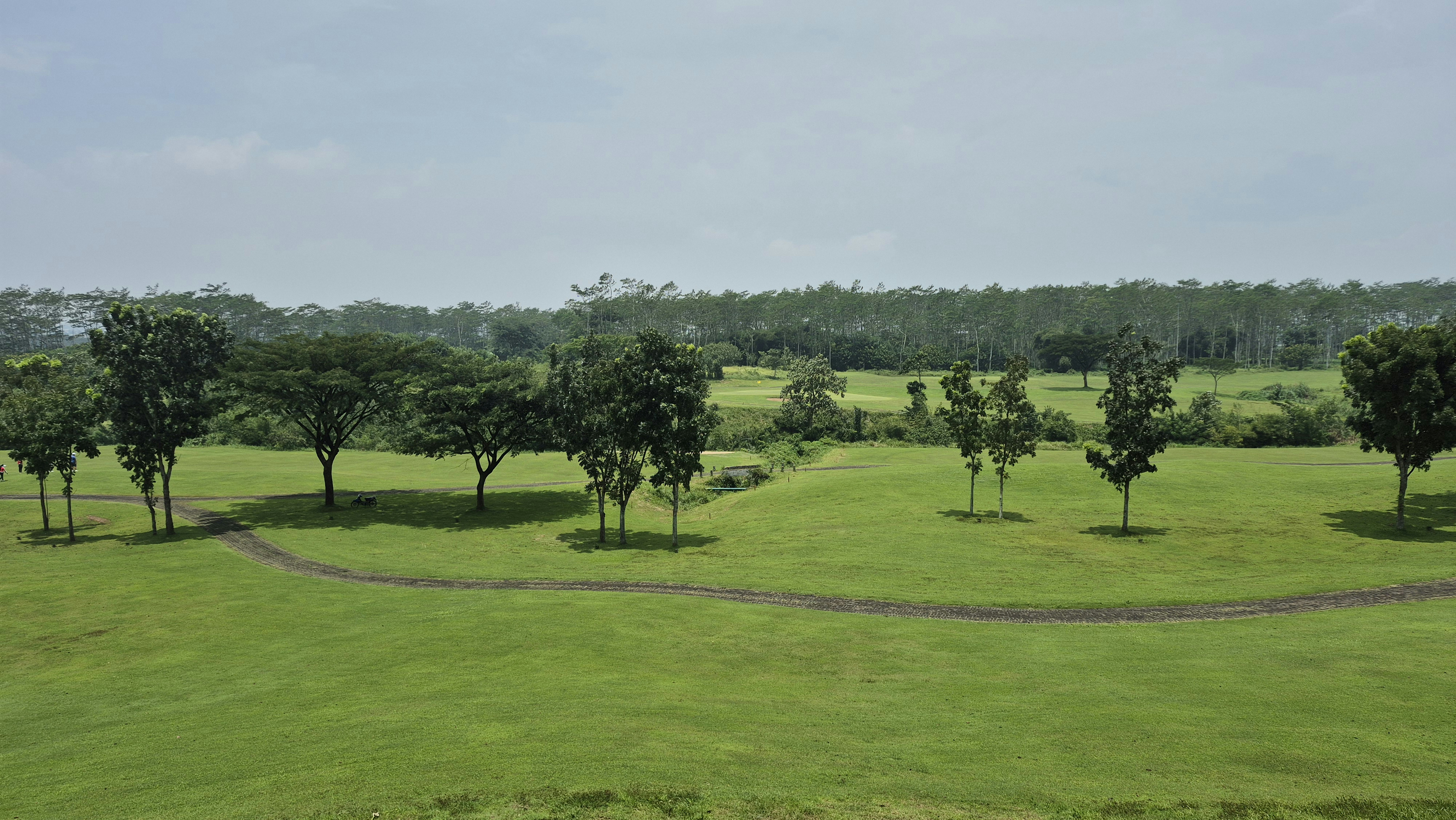 Un campo de golf verde y frondoso con árboles dispersos y un sendero.