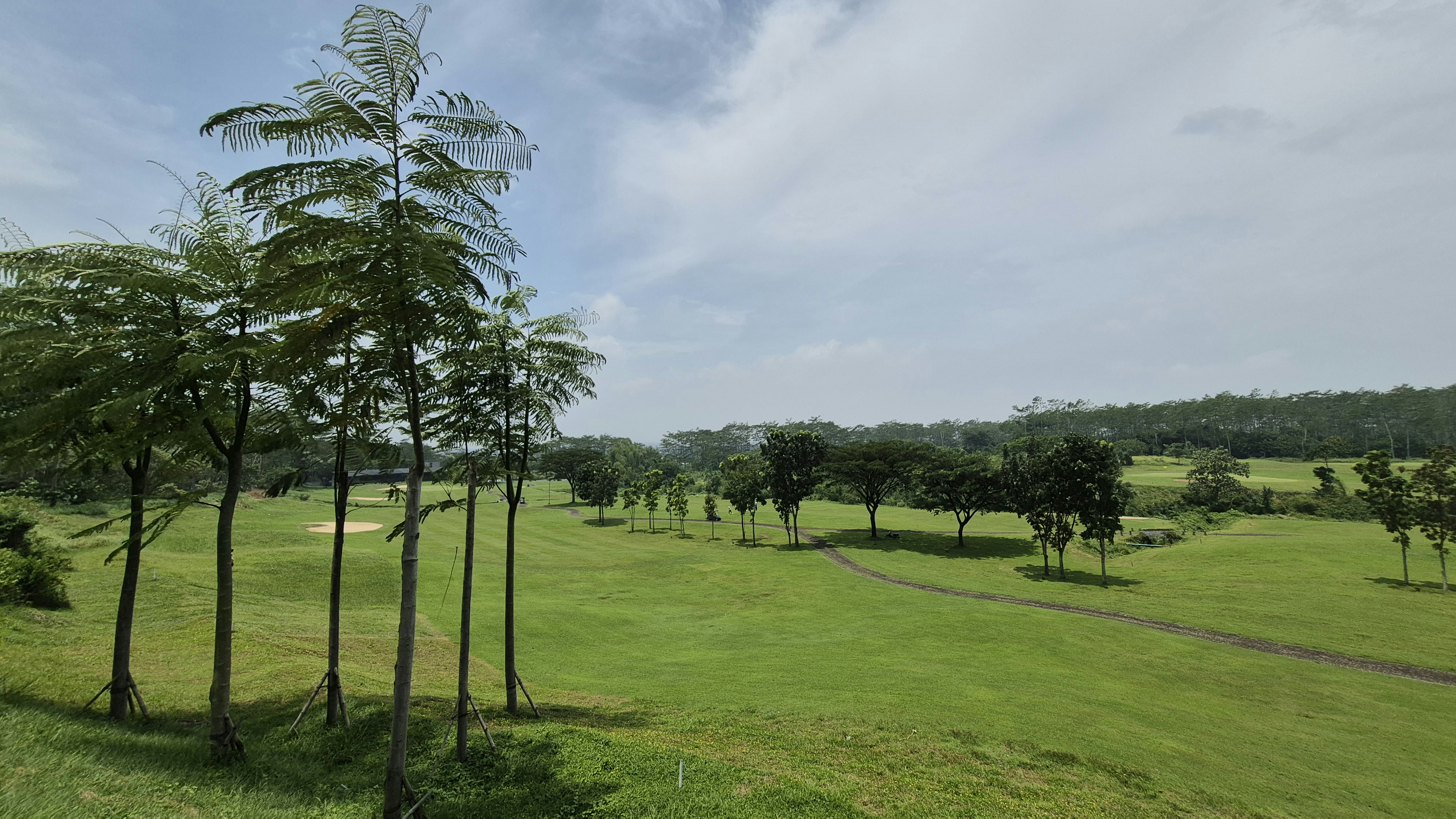 Campo de golf verde y frondoso con árboles altos y cielo azul