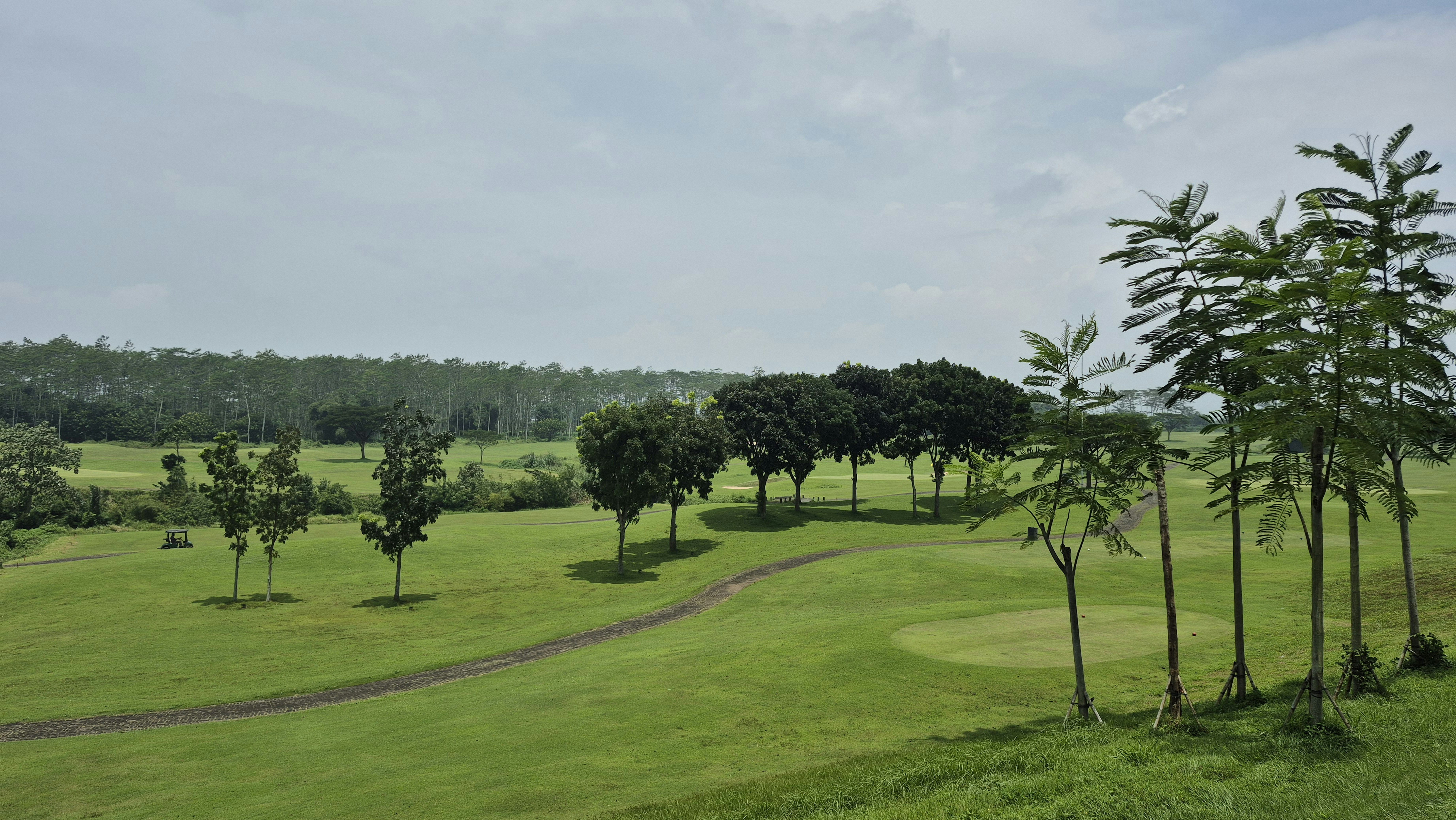Campo de golf verde con árboles bajo un cielo nublado.