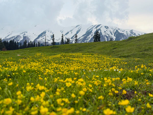 Kashmir, Paradise on Earth