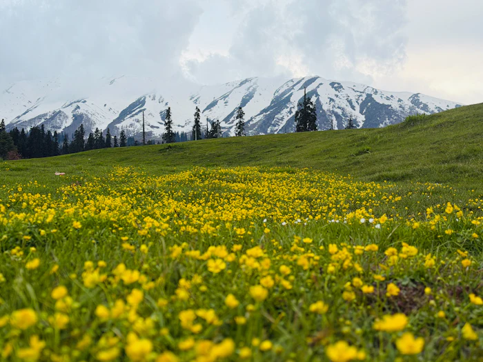 Kashmir: Katra to Srinagar Grand Journey — Kashmir