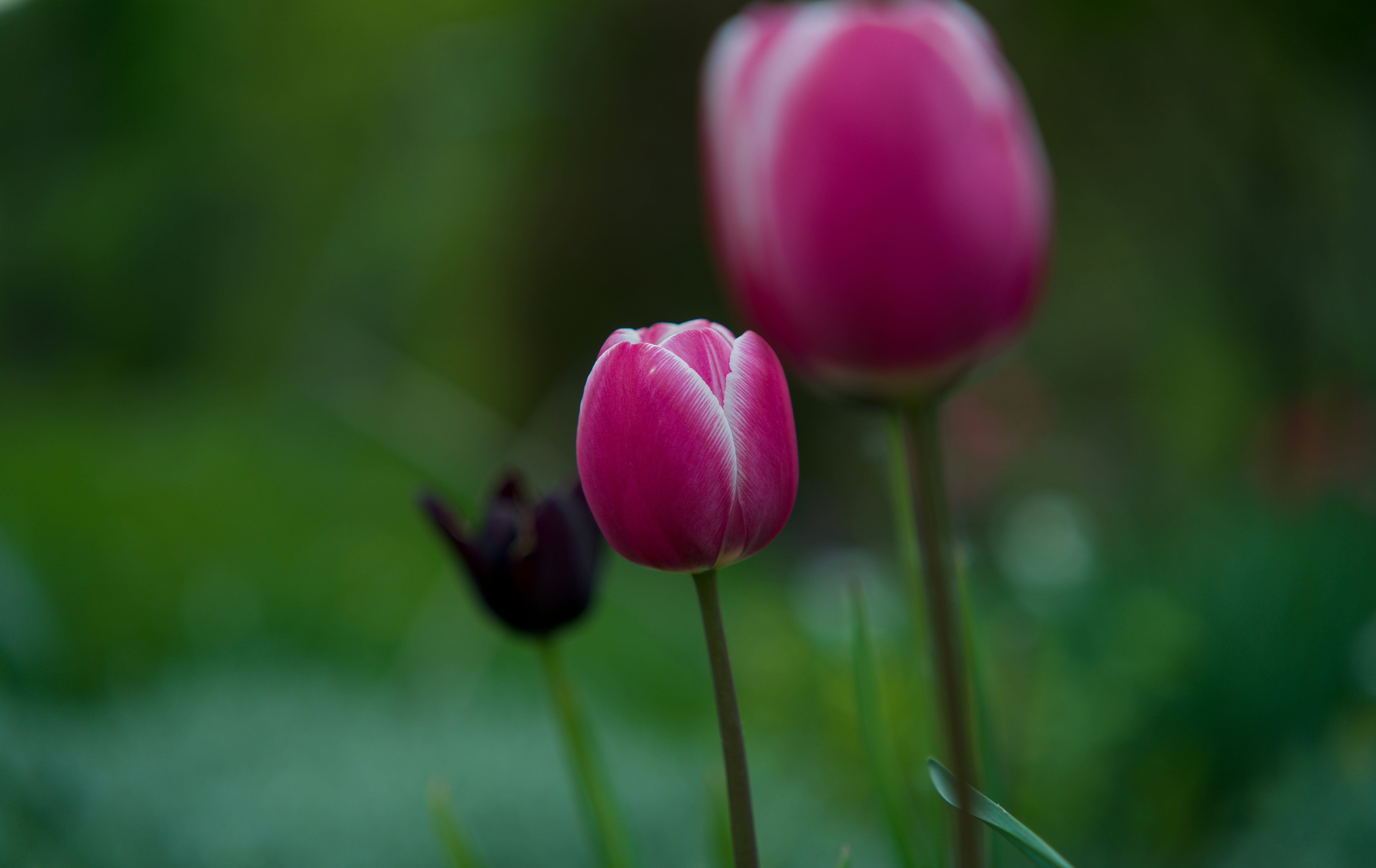 Photo by eizenkopp