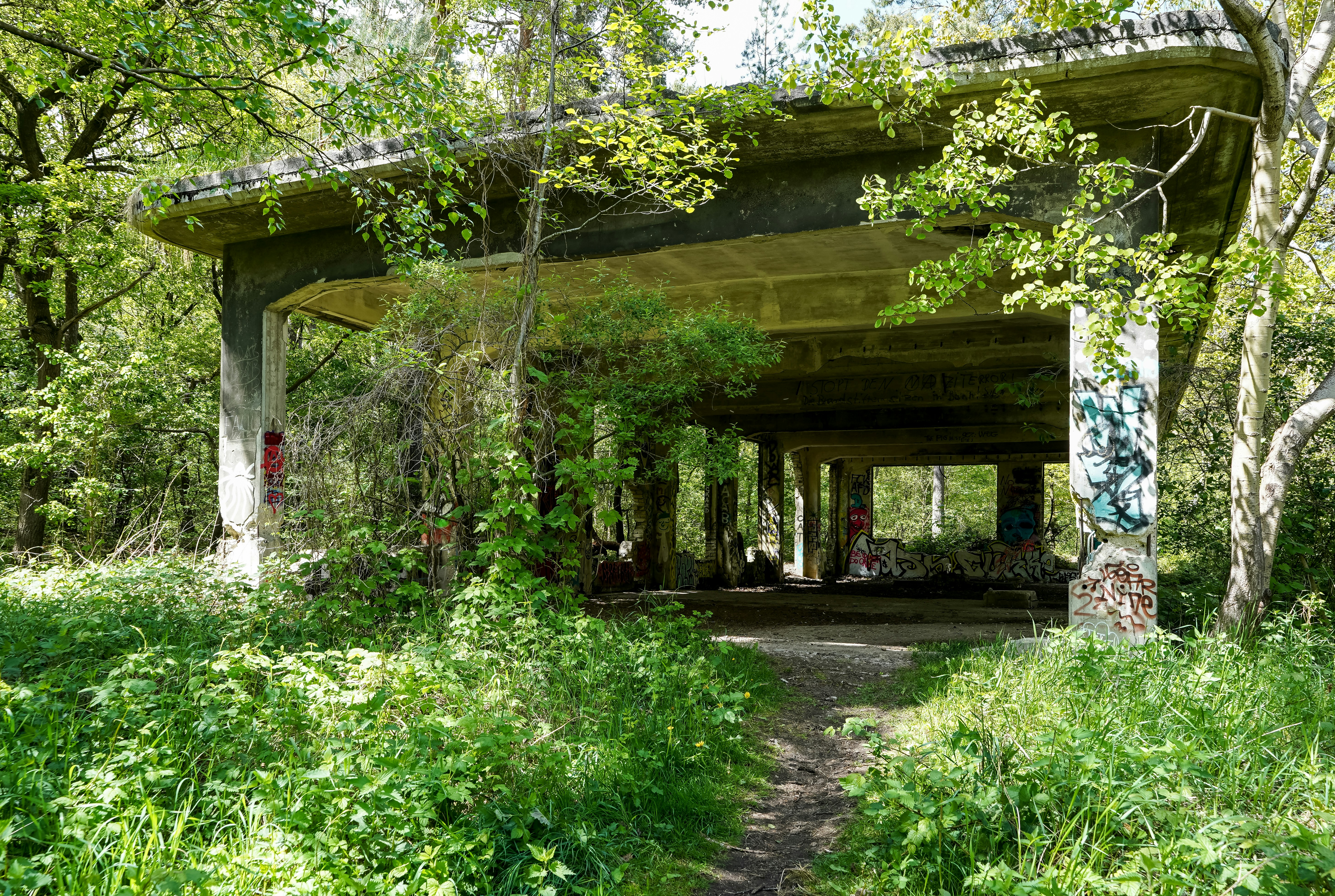 Overgrown concrete structure in a forest setting