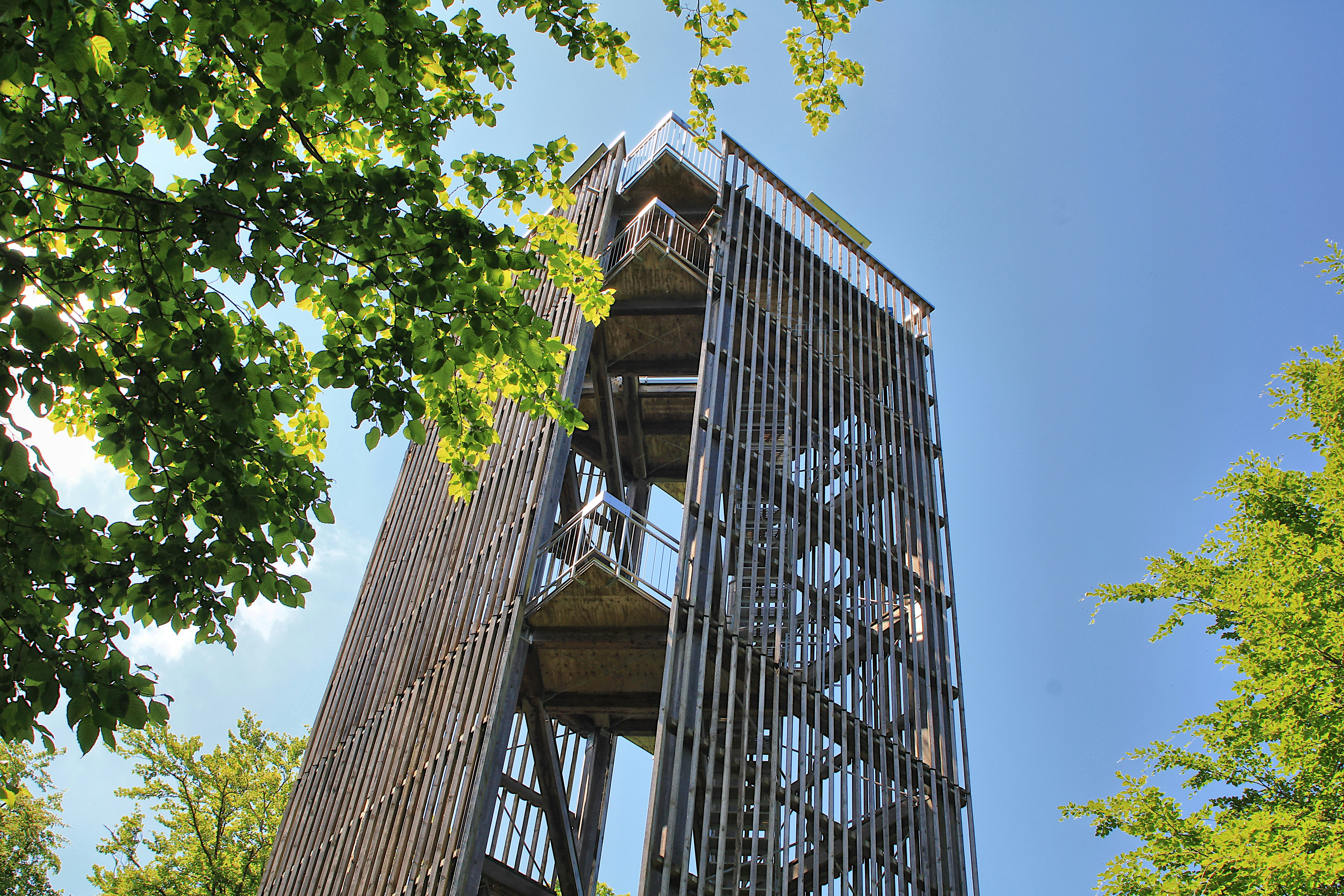 Torre di osservazione moderna e alta circondata da alberi verdi.