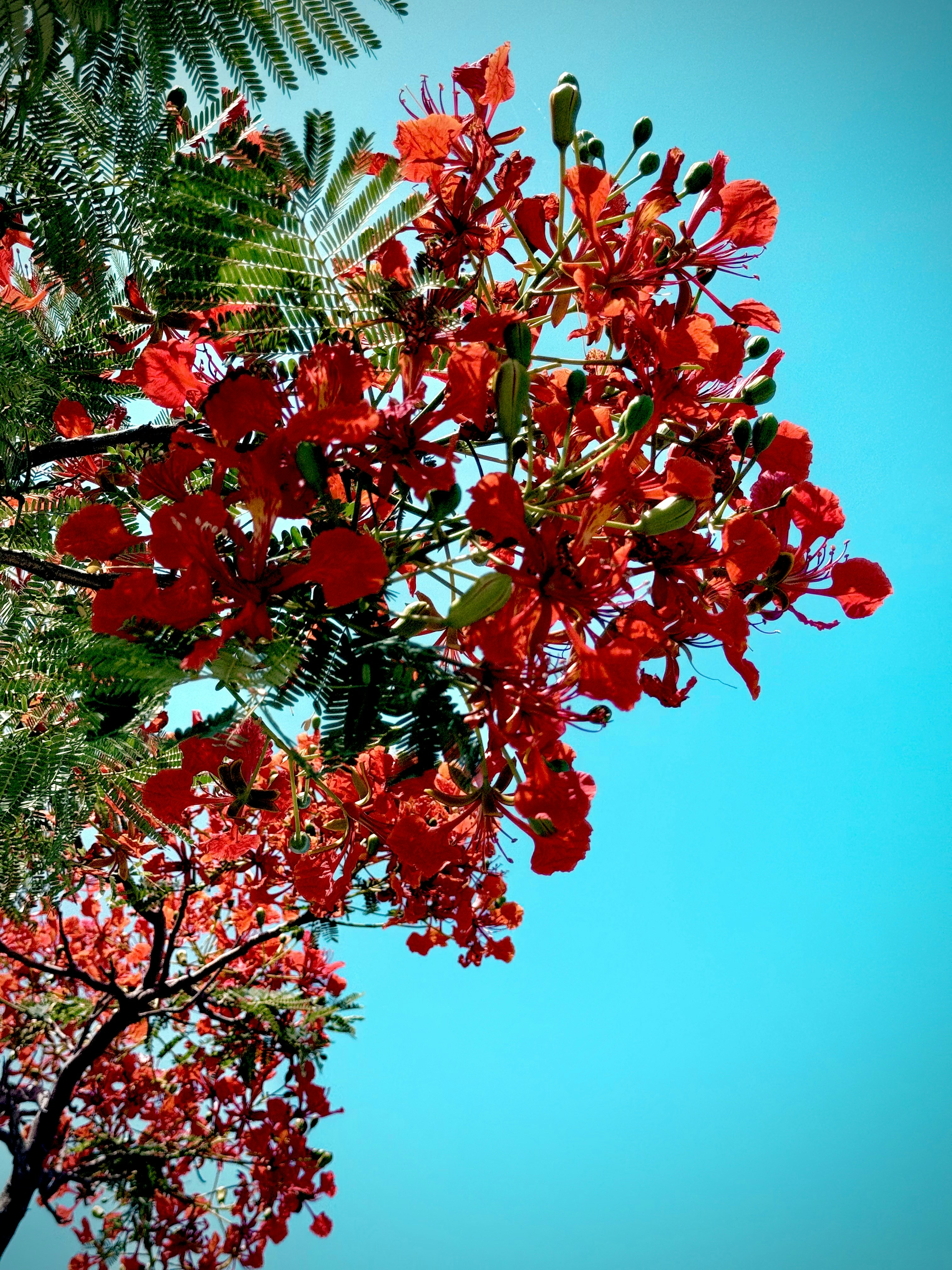Photo by mahirabdo