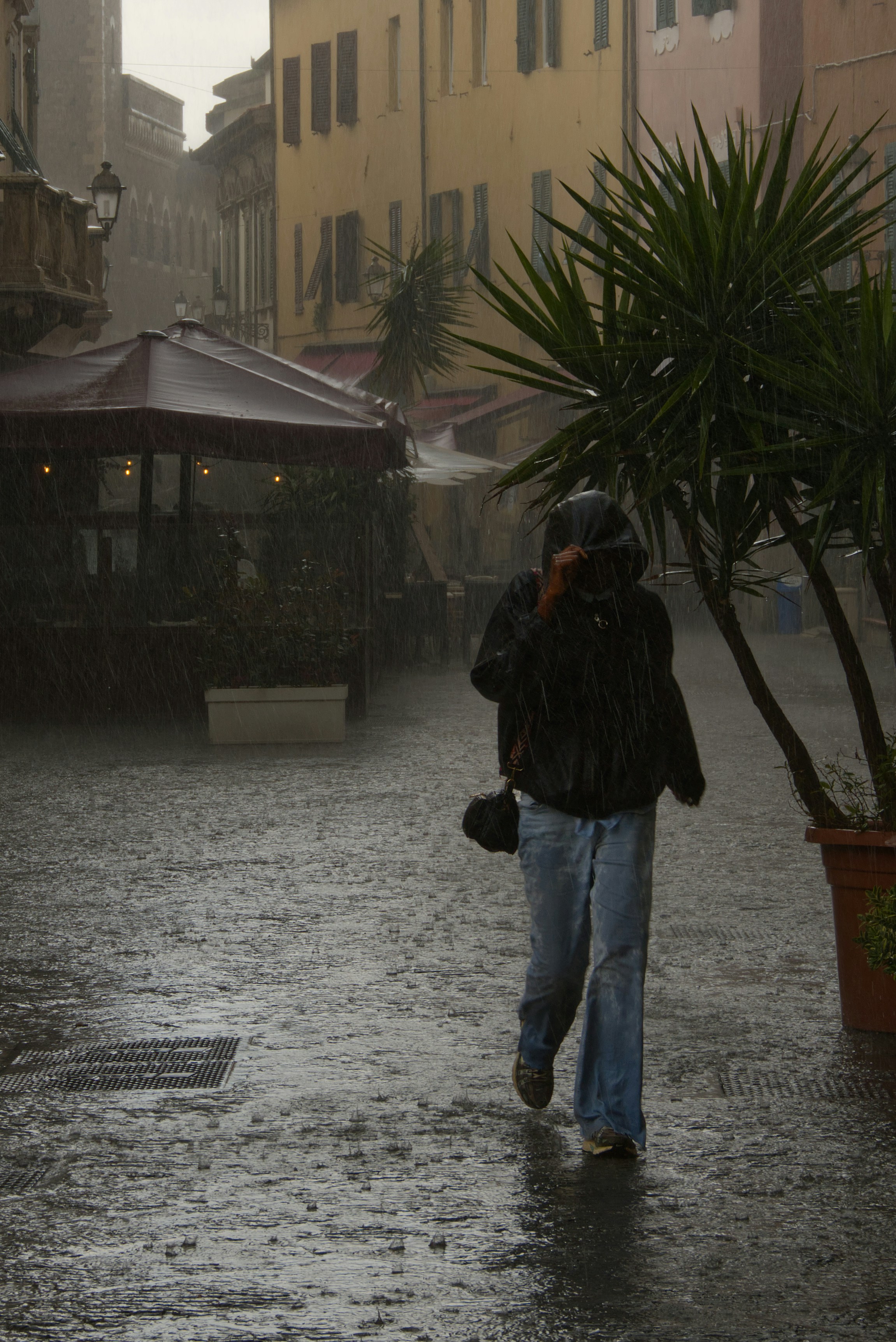 Heavy Rainfall Pictures | Download Free Images on Unsplash