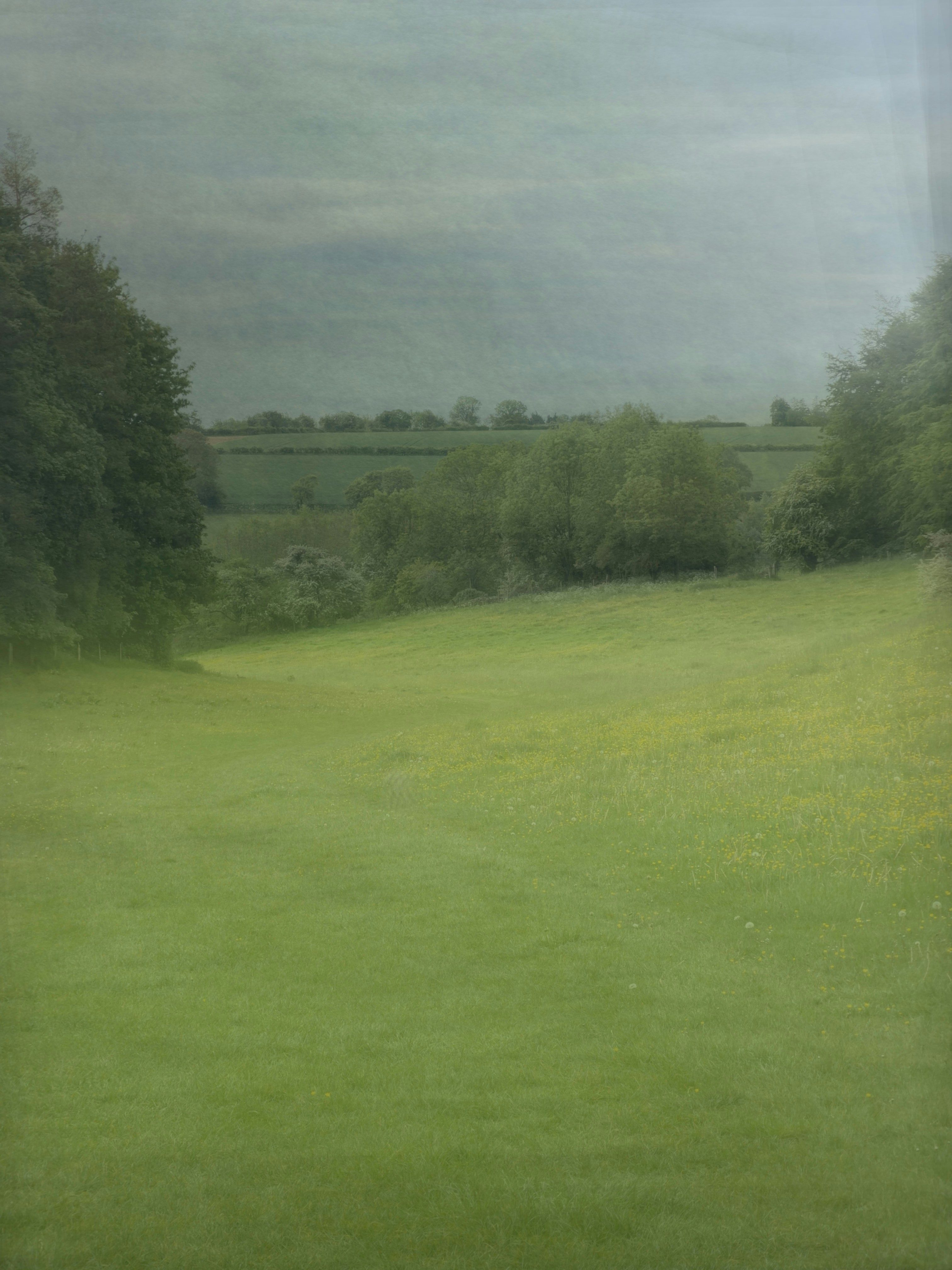 A lush green meadow with rolling hills in the background