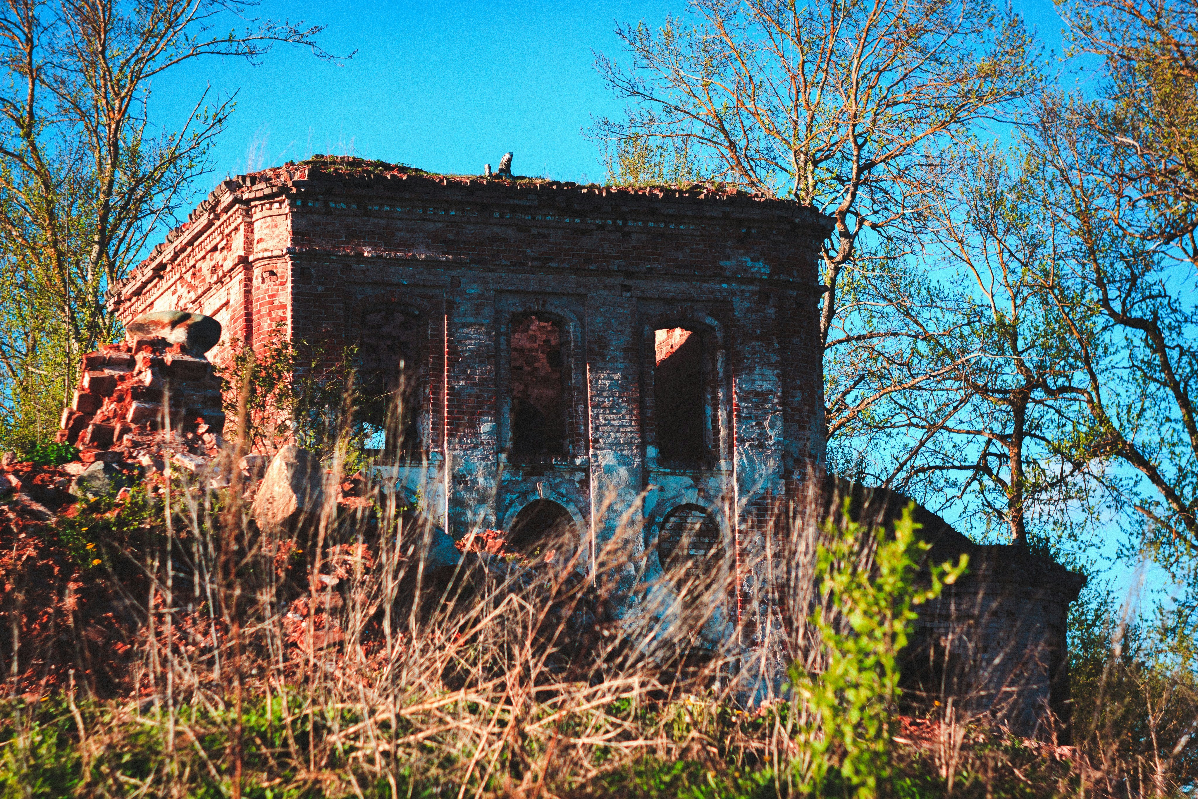 Photo by denmirov